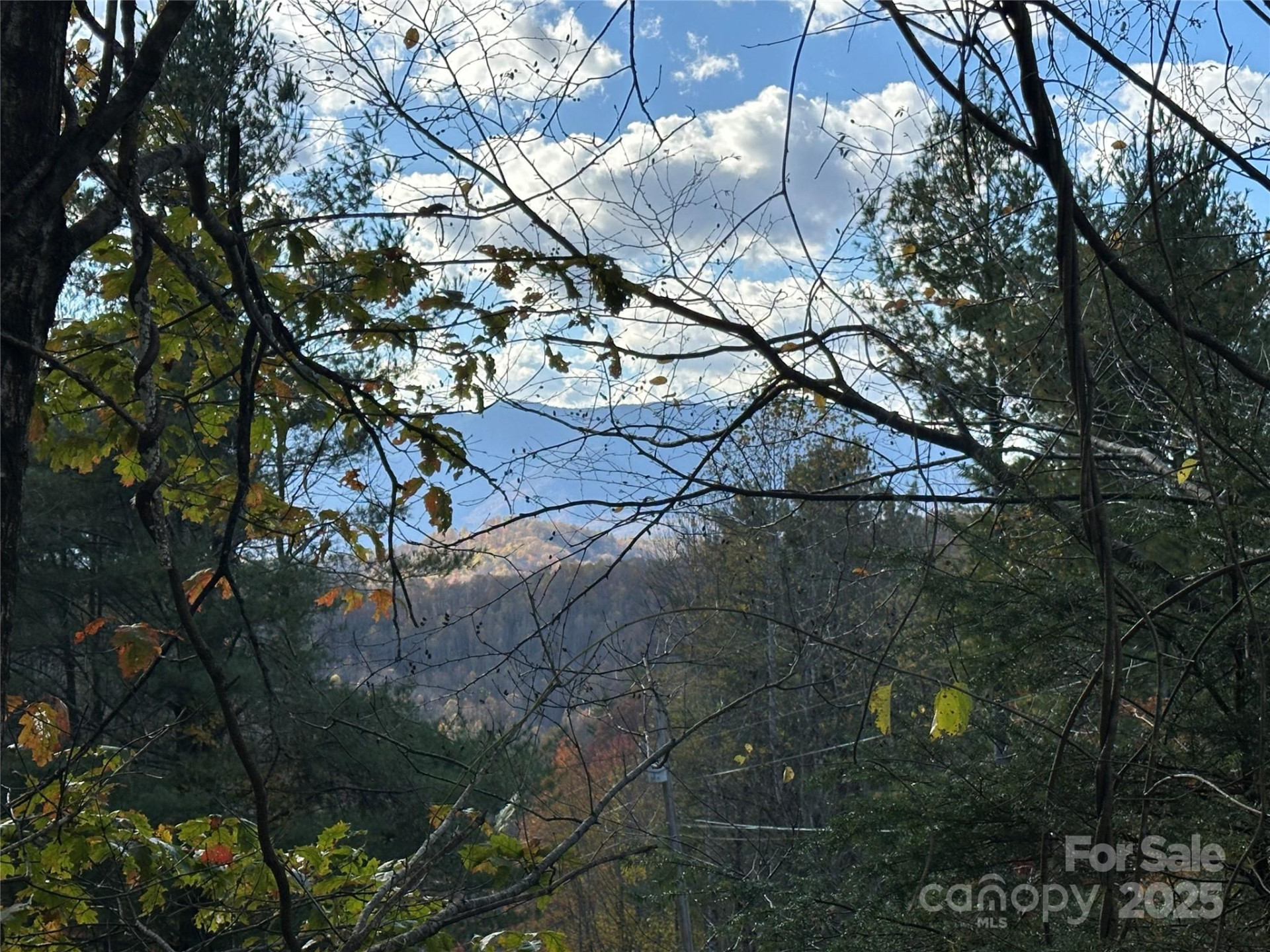 572 Blue Ridge Gem Stone Road - Photo 38