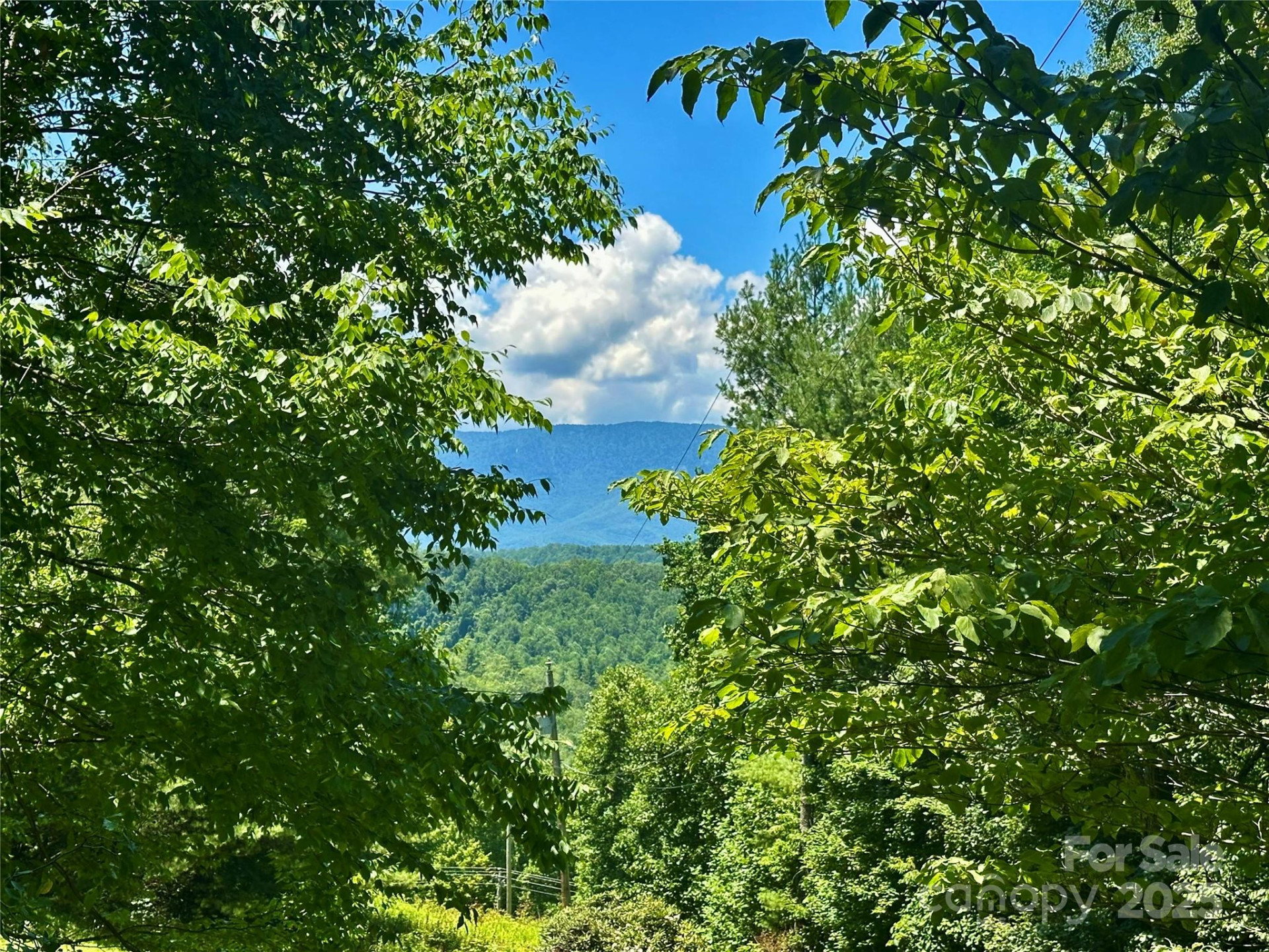 572 Blue Ridge Gem Stone Road - Photo 5