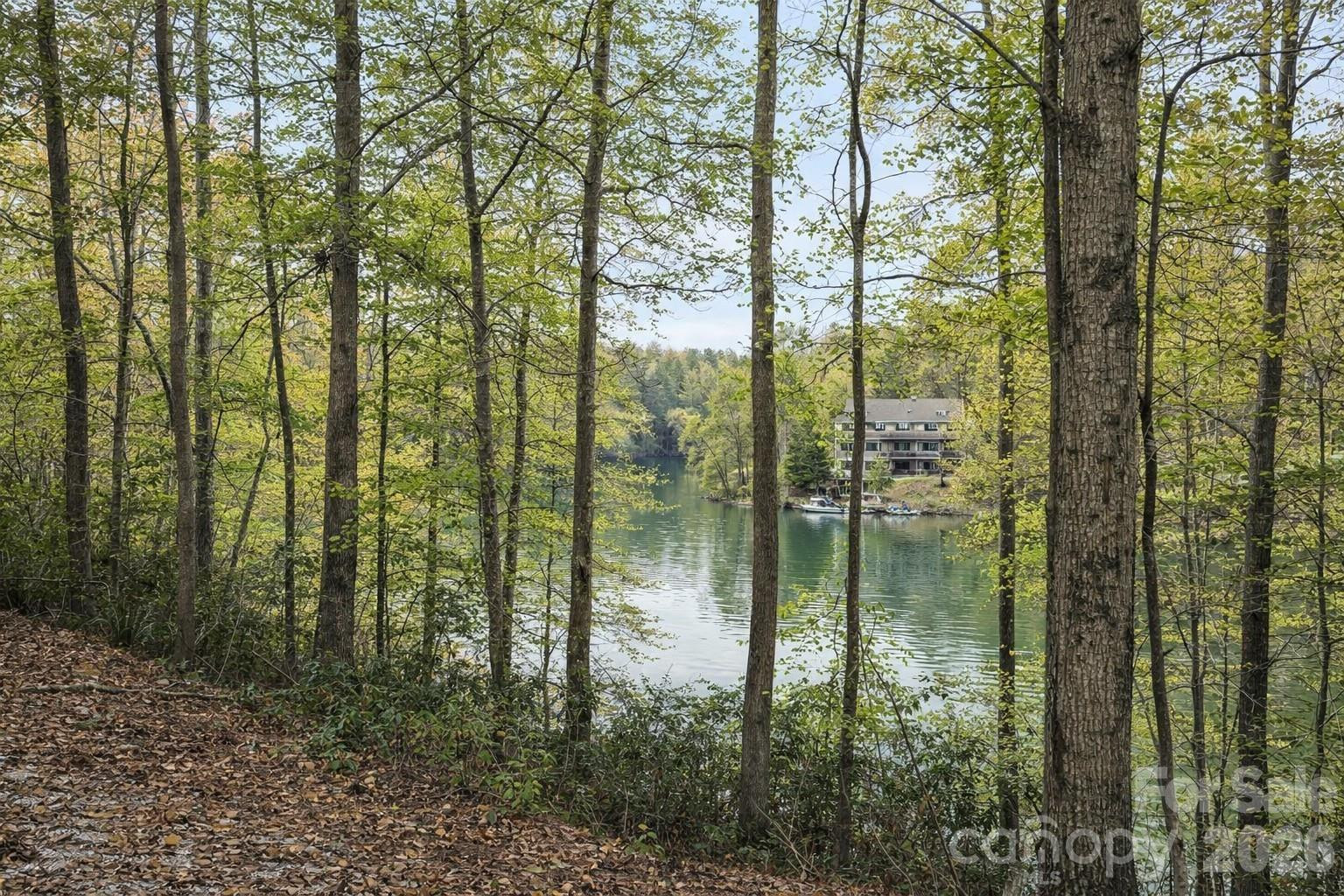 00 Lake Adger Parkway #Lot 7 - Photo 5