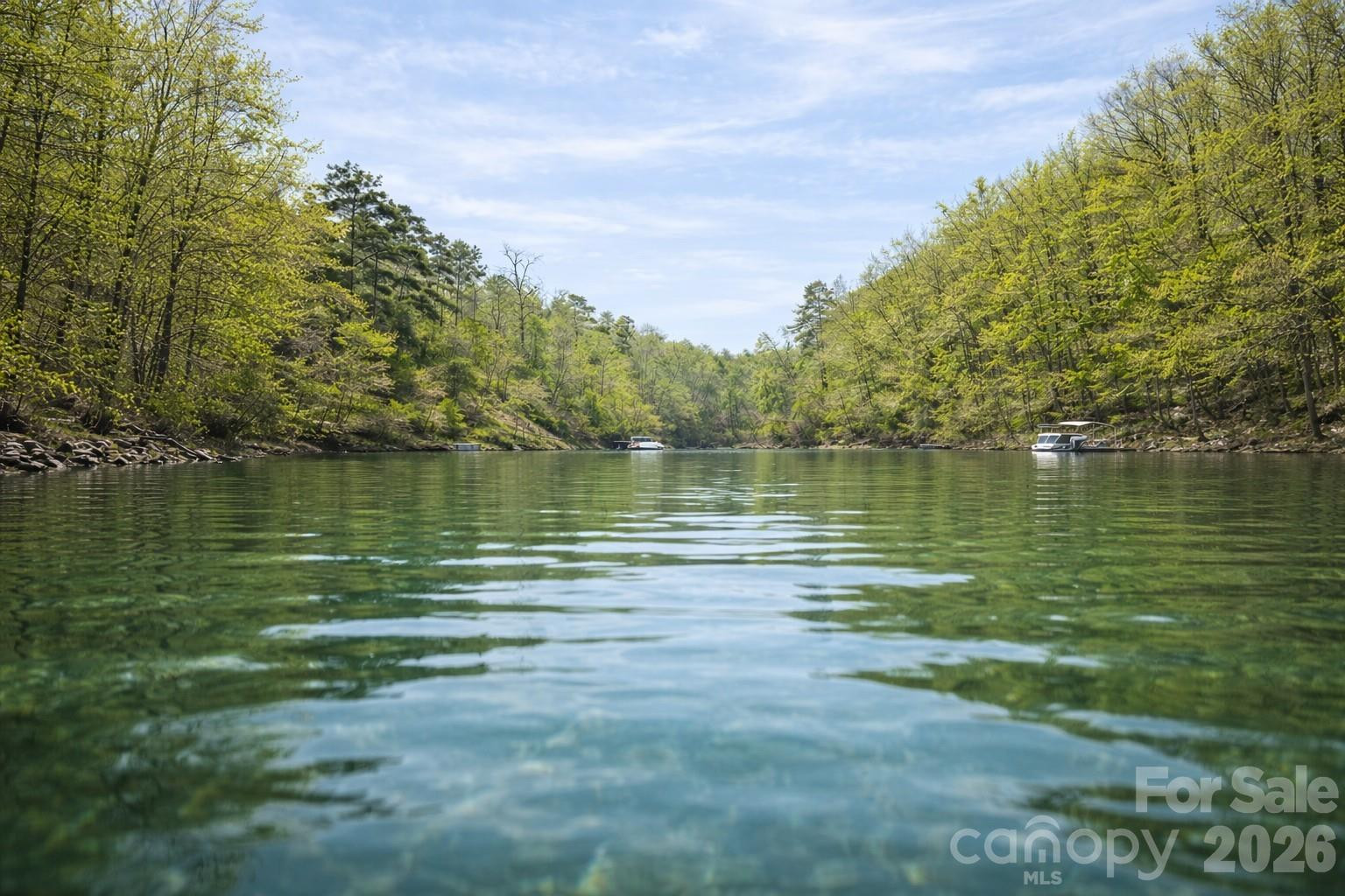 00 Lake Adger Parkway #Lot 7 - Photo 8