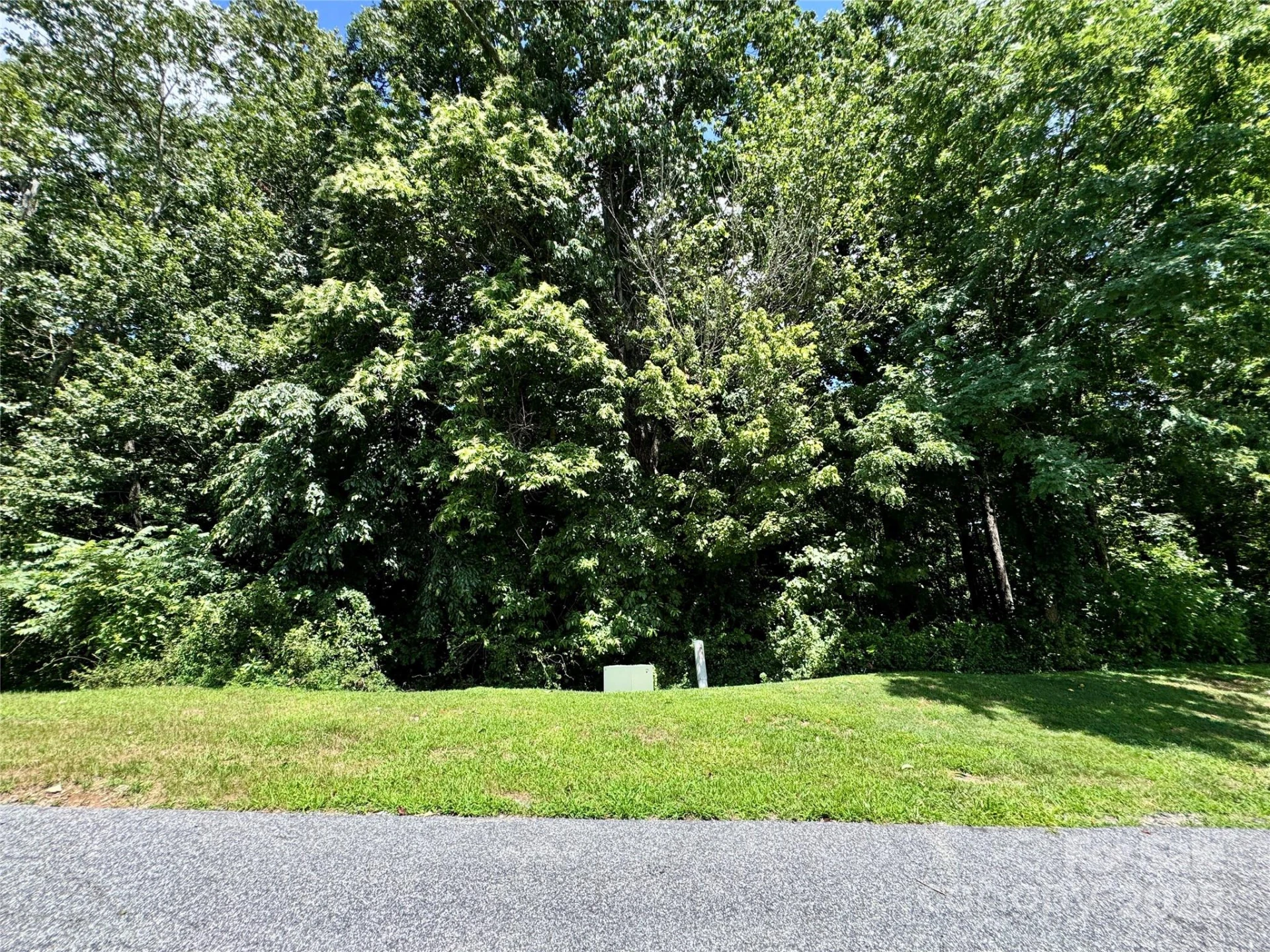 35 Ladys Fern Trail