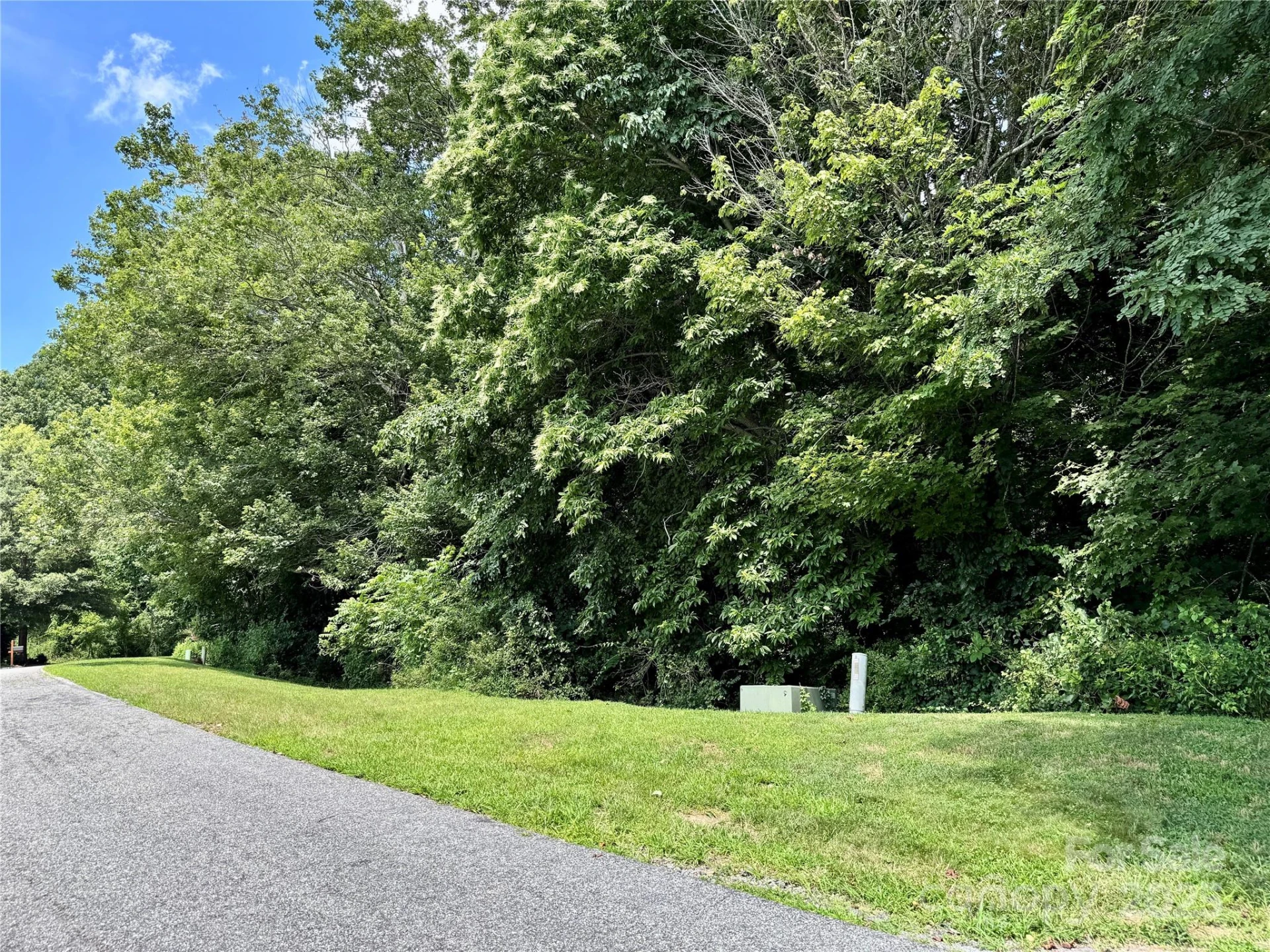 35 Ladys Fern Trail - Photo 2