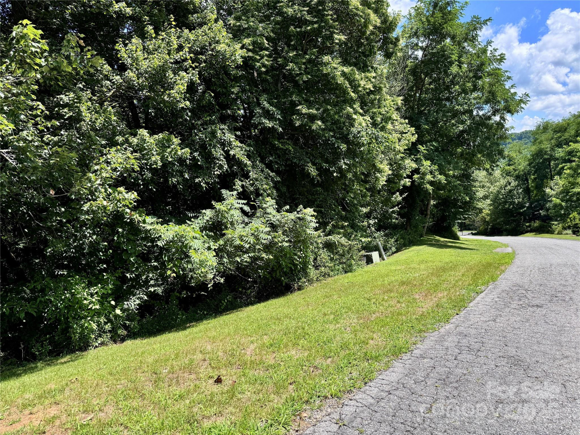 35 Ladys Fern Trail - Photo 3