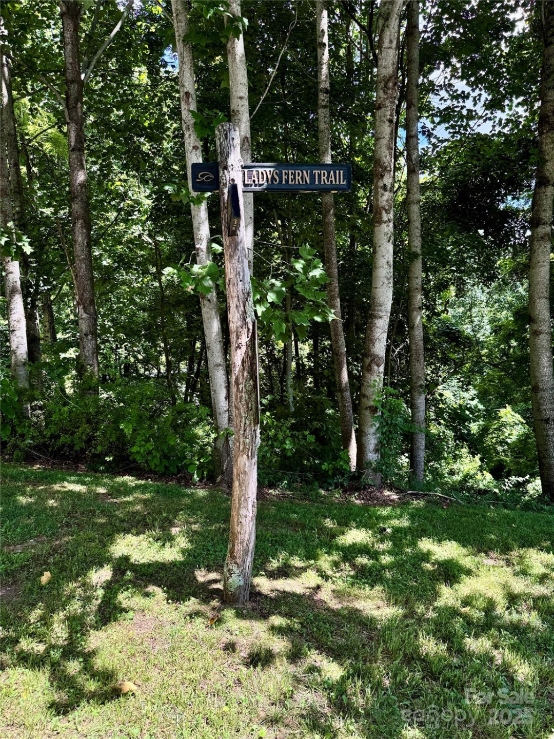 35 Ladys Fern Trail - Photo 8