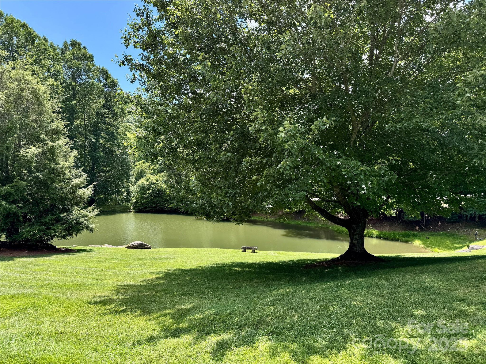 35 Ladys Fern Trail - Photo 9