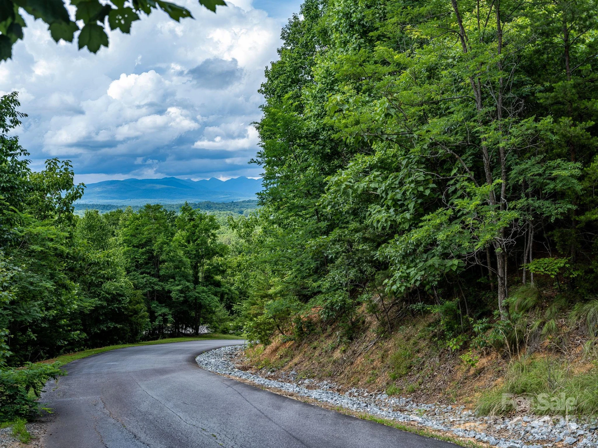 155 Big View Drive #155 - Photo 13