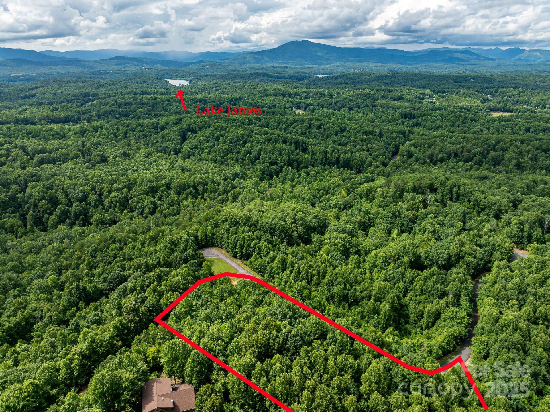 155 Big View Drive #155 - Photo 4
