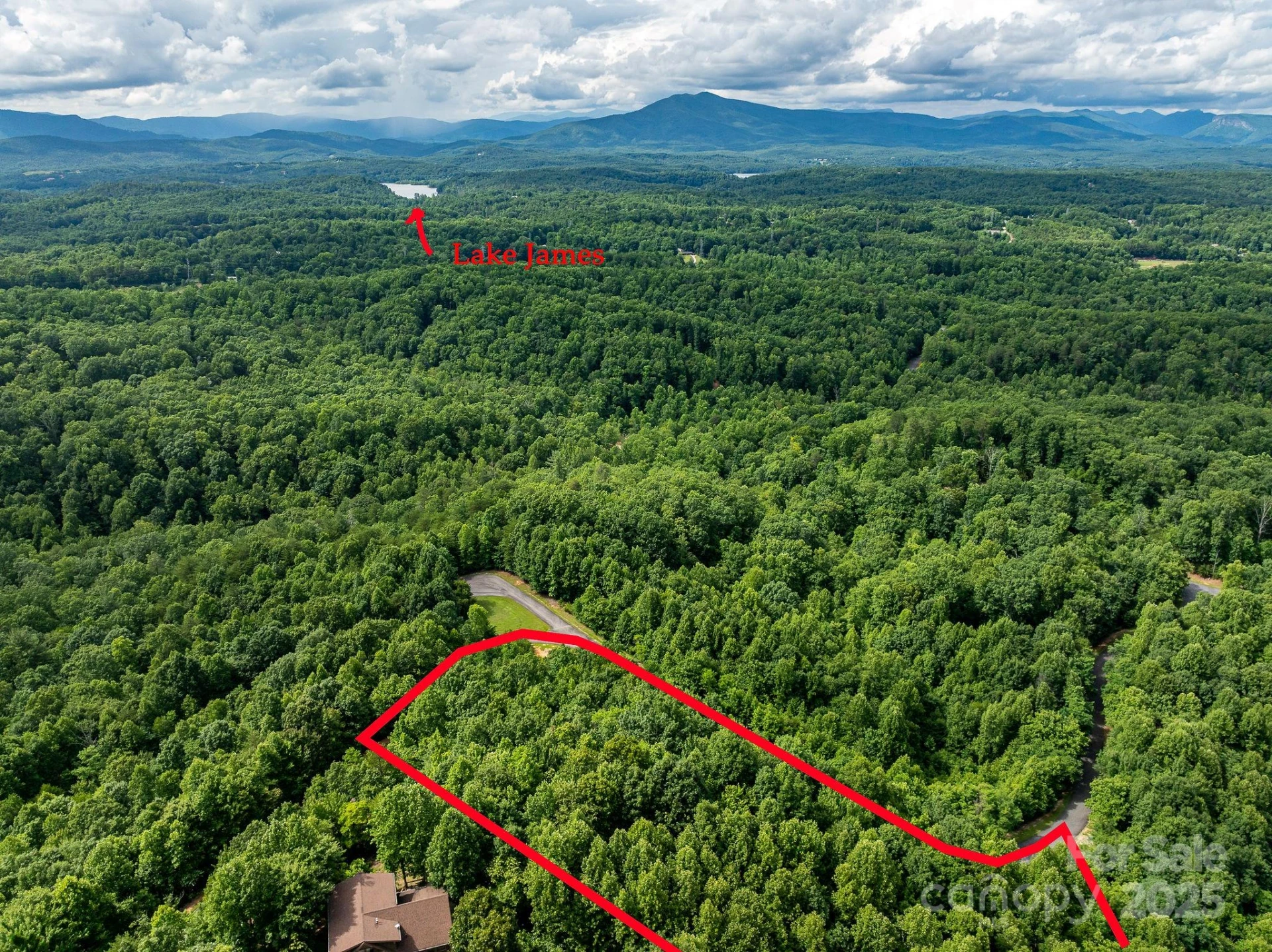 155 Big View Drive #155 - Photo 4