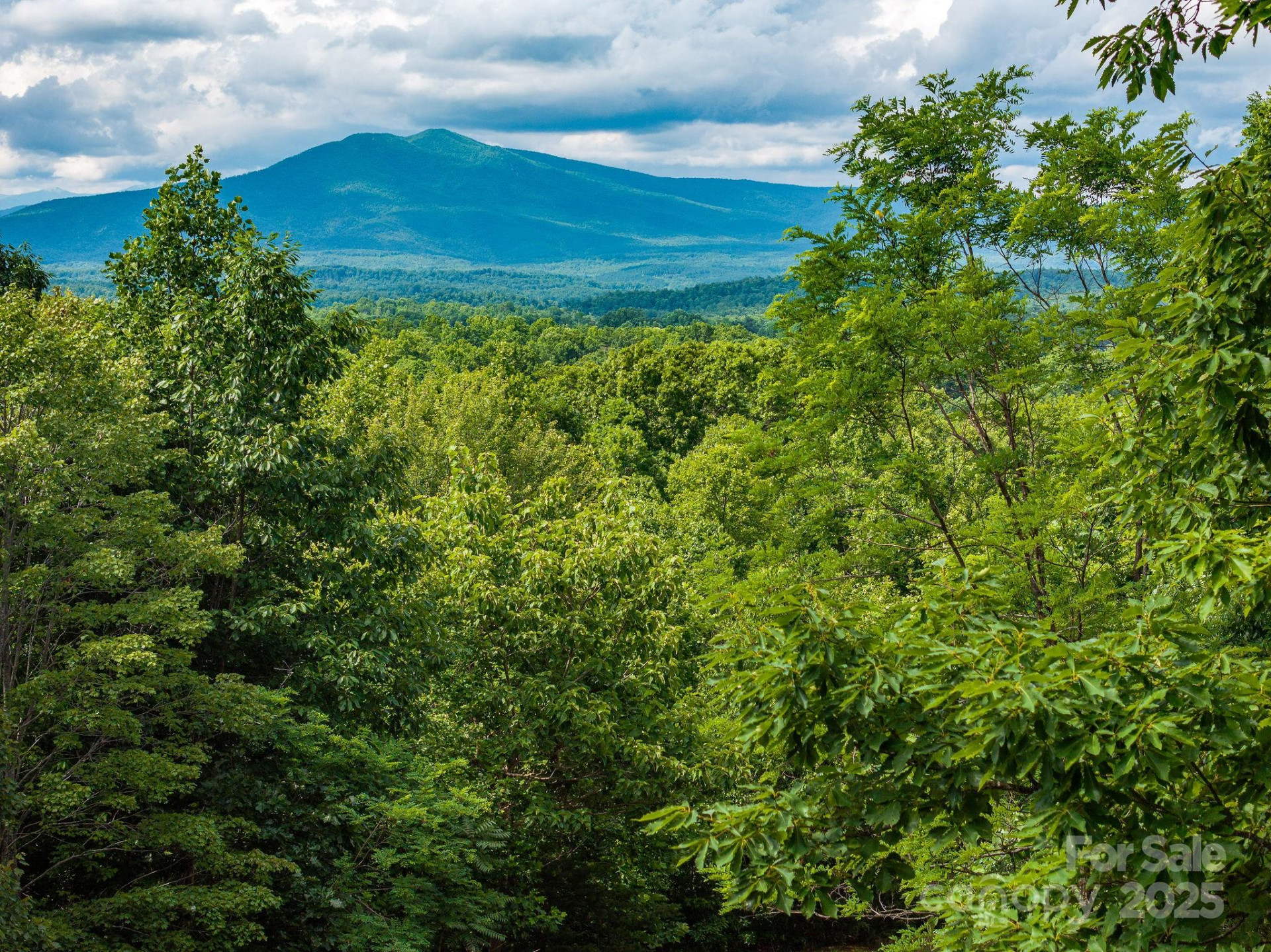155 Big View Drive #155 - Photo 5