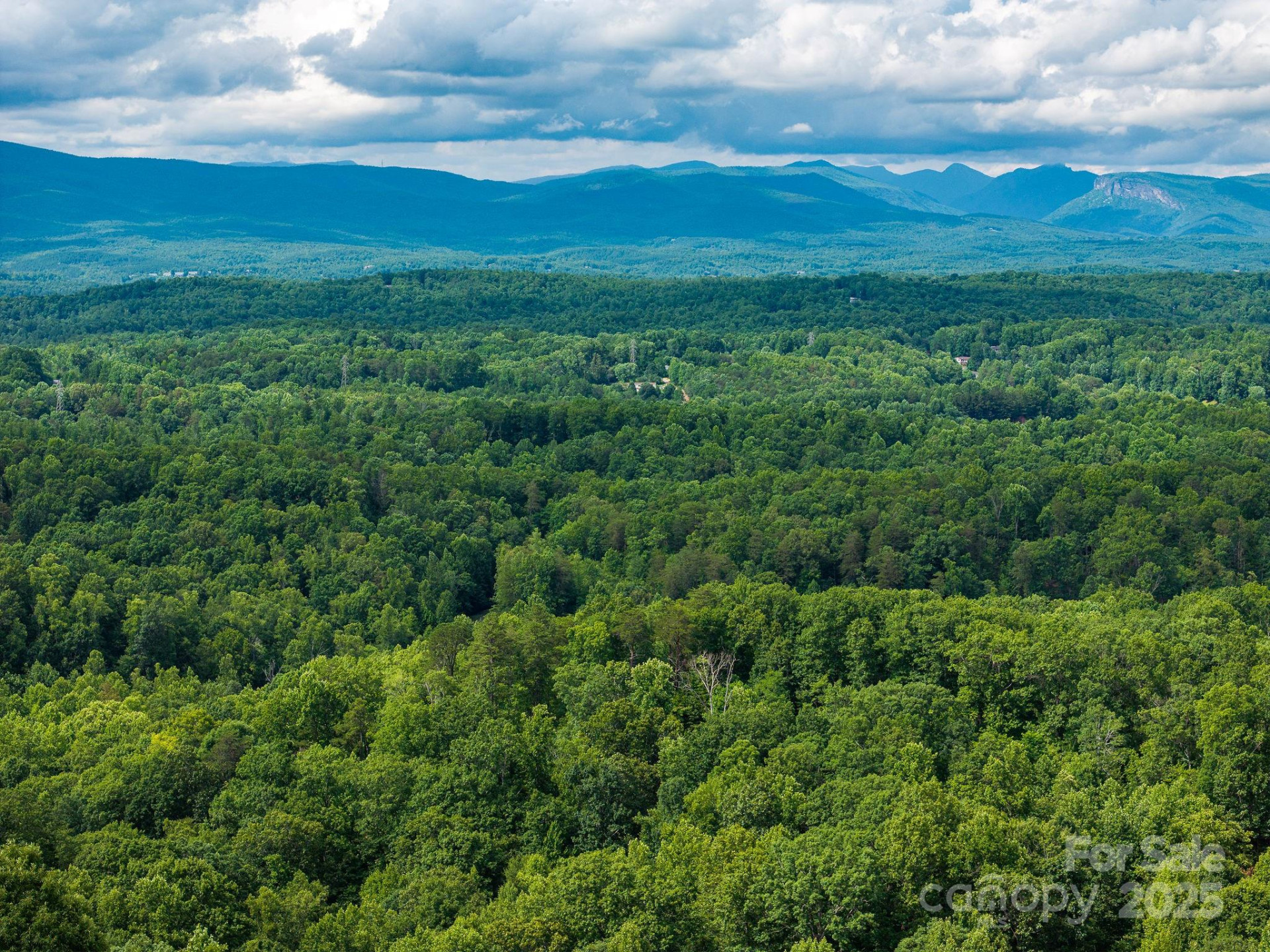 155 Big View Drive #155 - Photo 6
