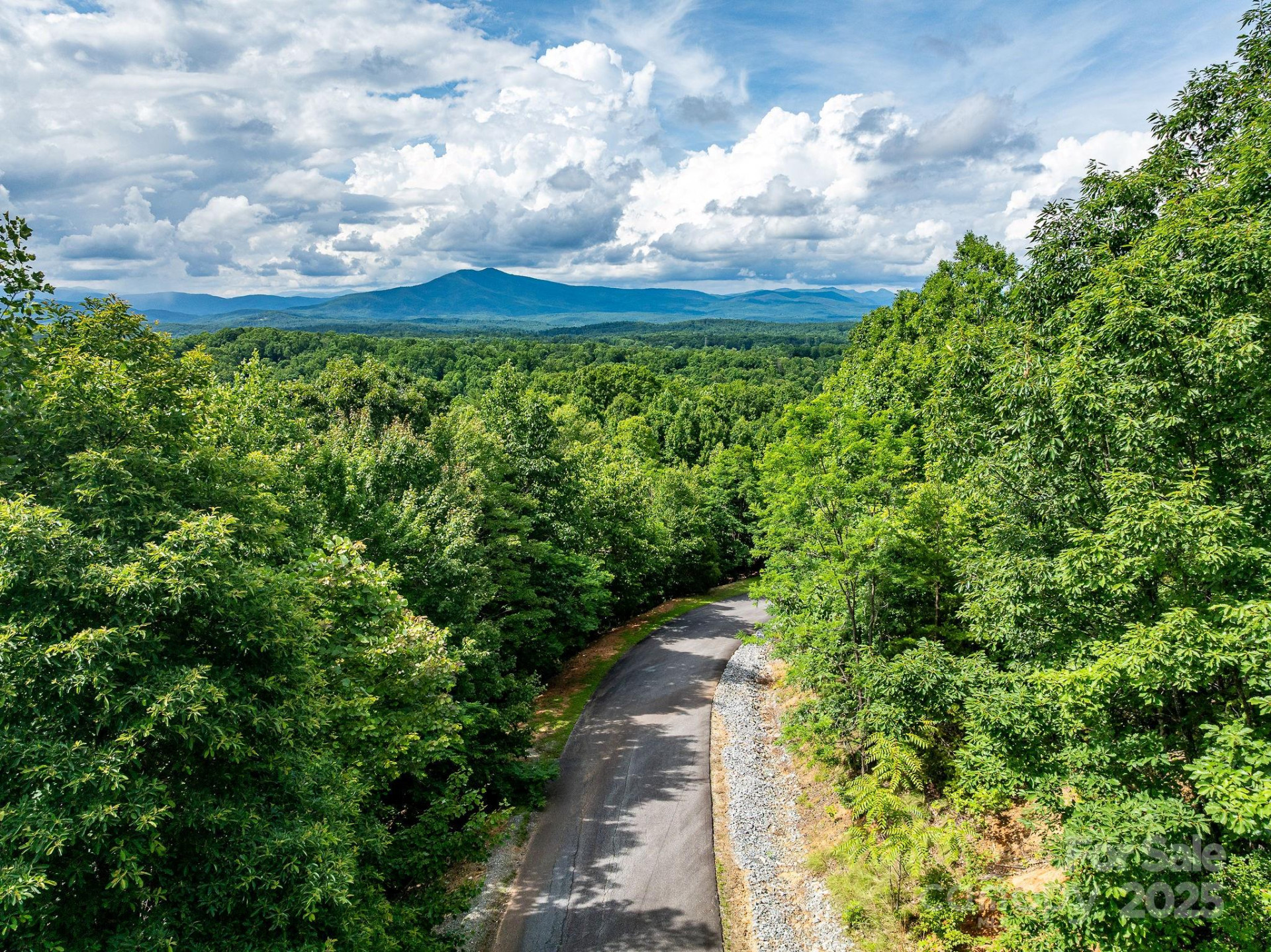 155 Big View Drive #155 - Photo 7