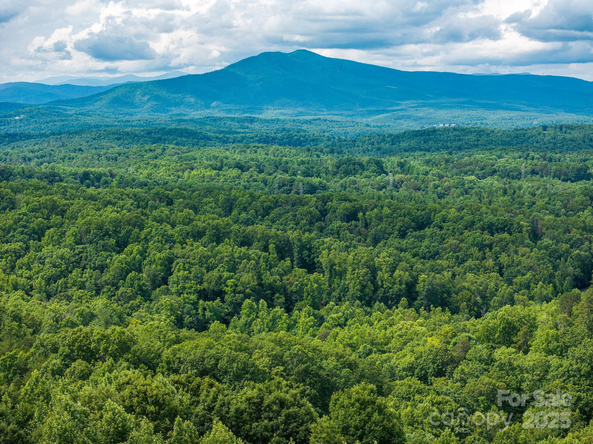 155 Big View Drive #155 - Photo 8