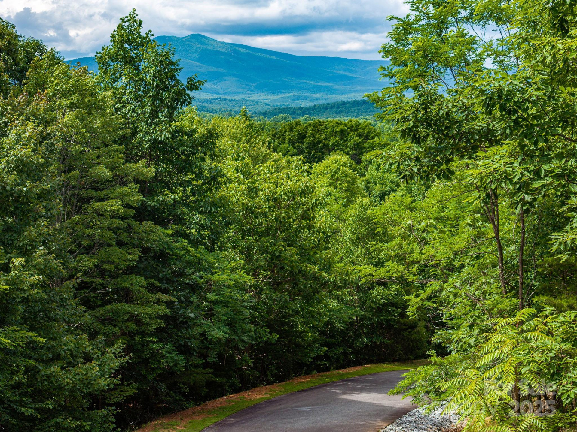 155 Big View Drive #155 - Photo 10
