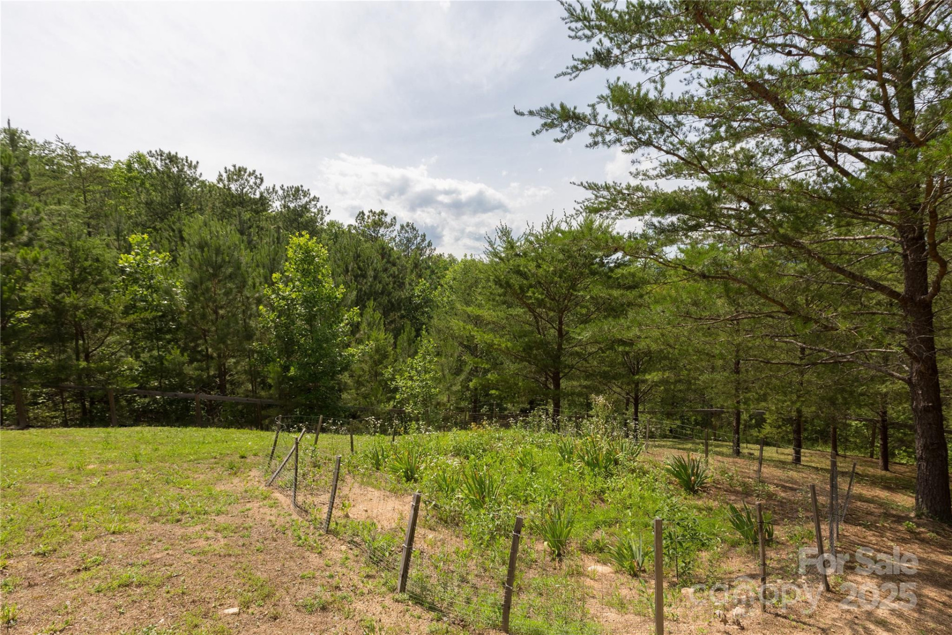 206 Legend Drive - Photo 25