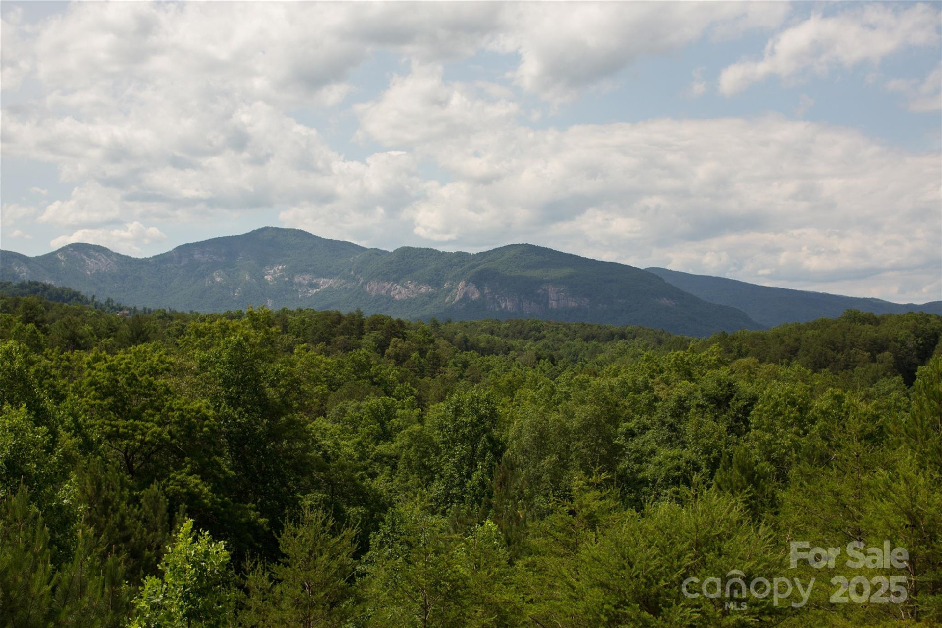 206 Legend Drive - Photo 26