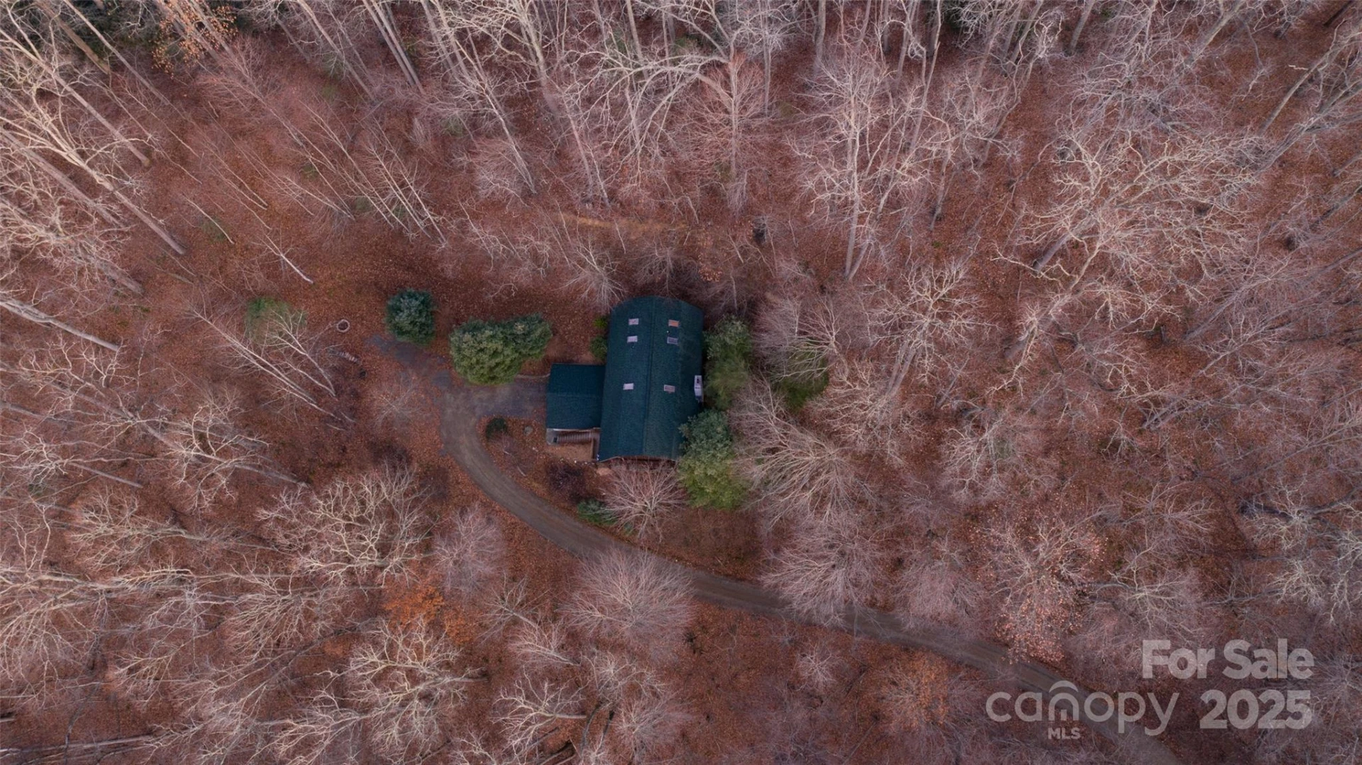 2311 Old Mountain Road - Photo 4