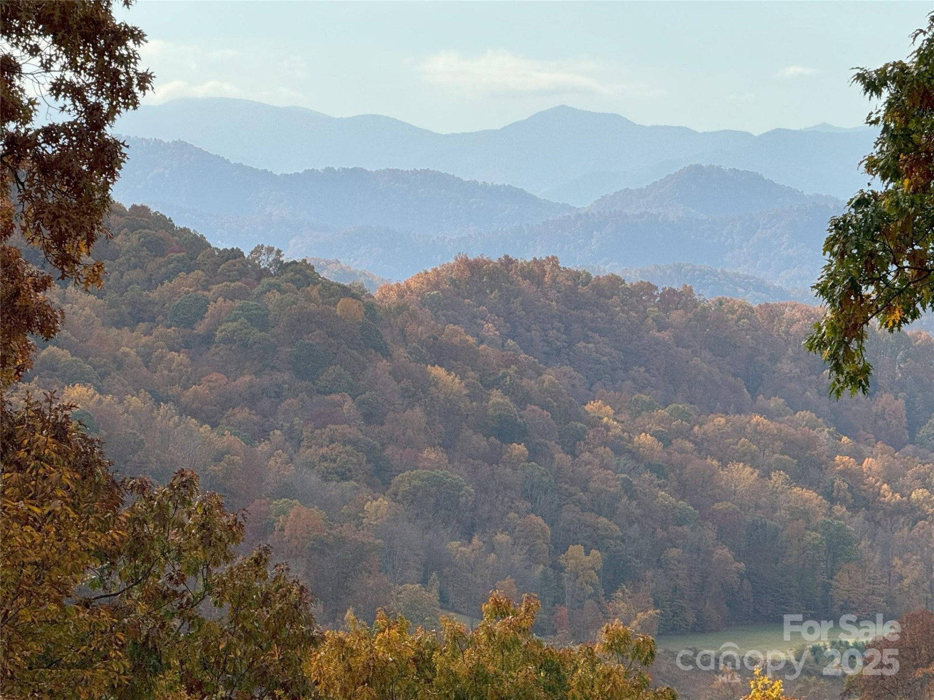 2311 Old Mountain Road - Photo 6