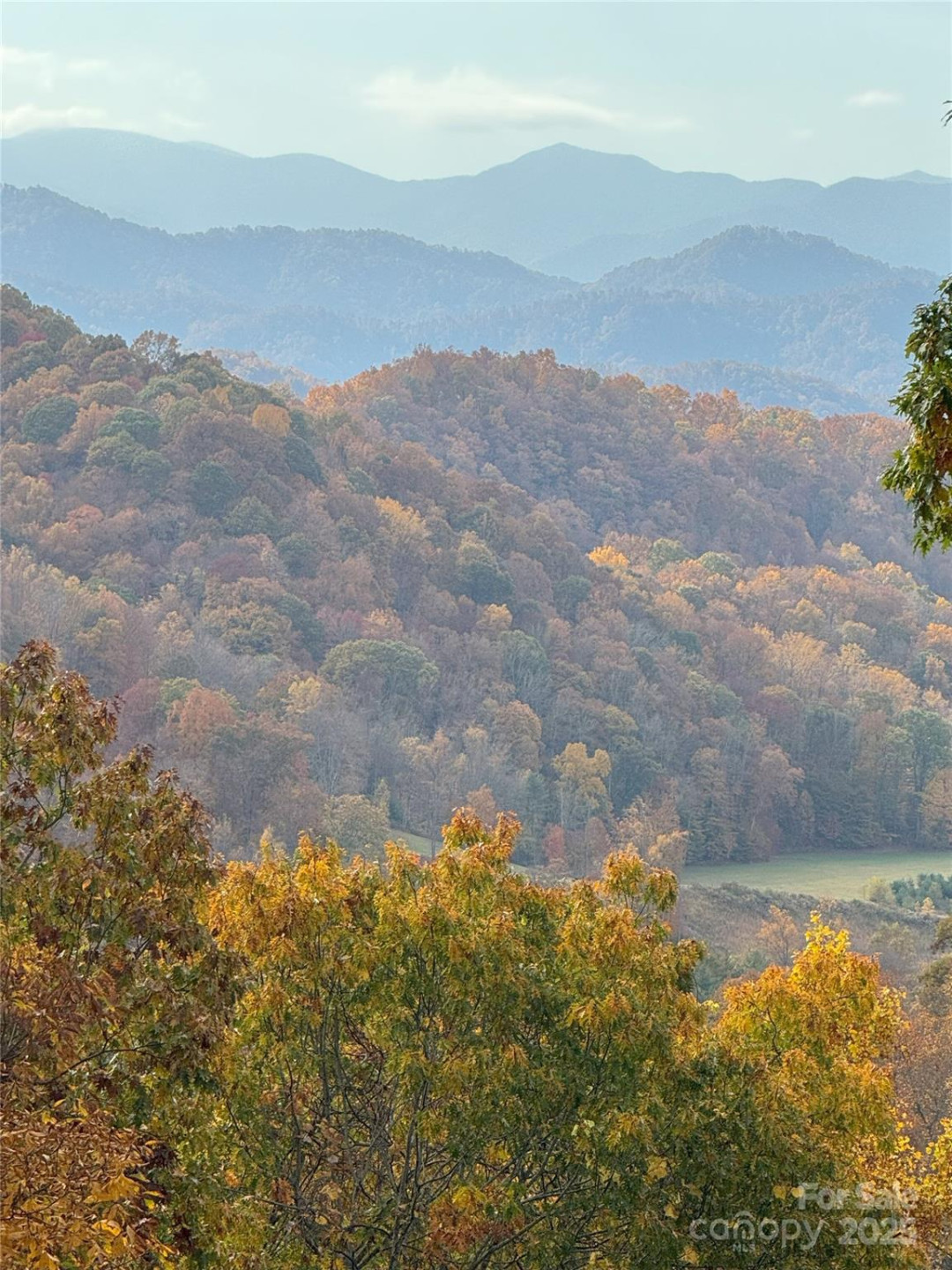 2311 Old Mountain Road - Photo 7