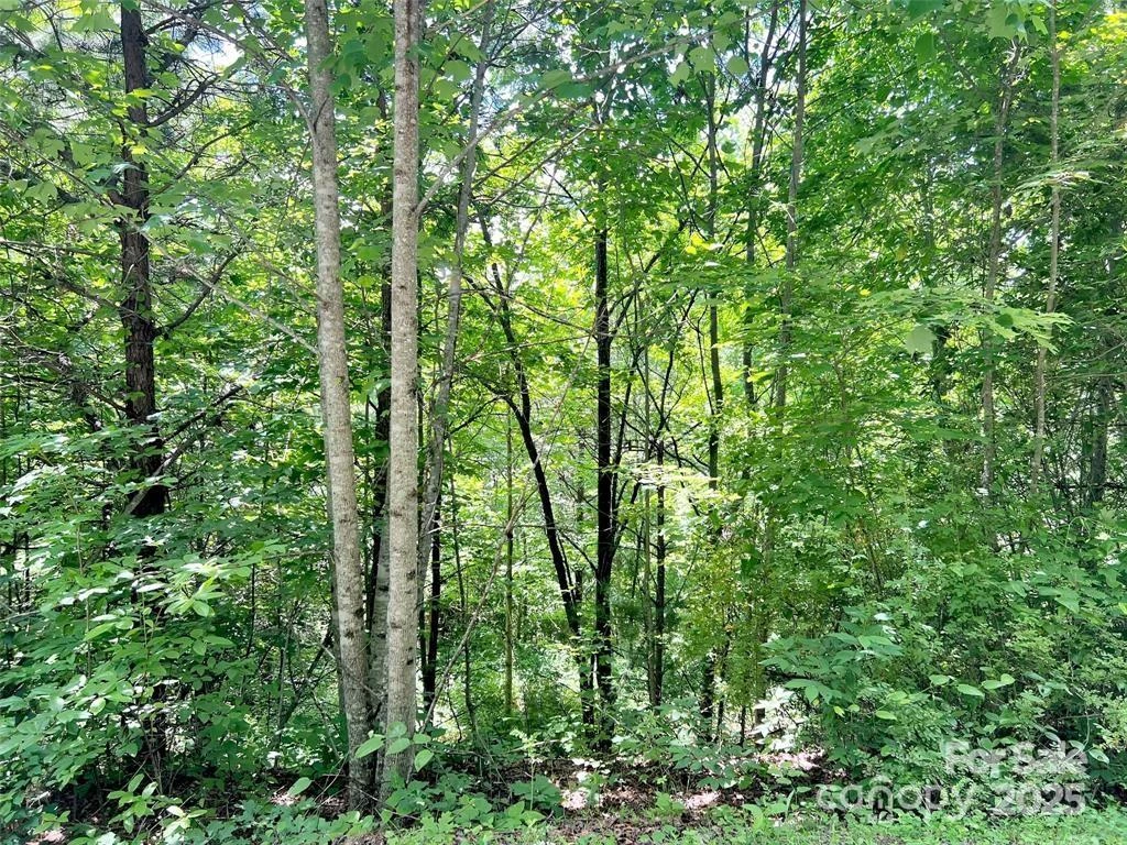 521 Signal Ridge - Photo 2