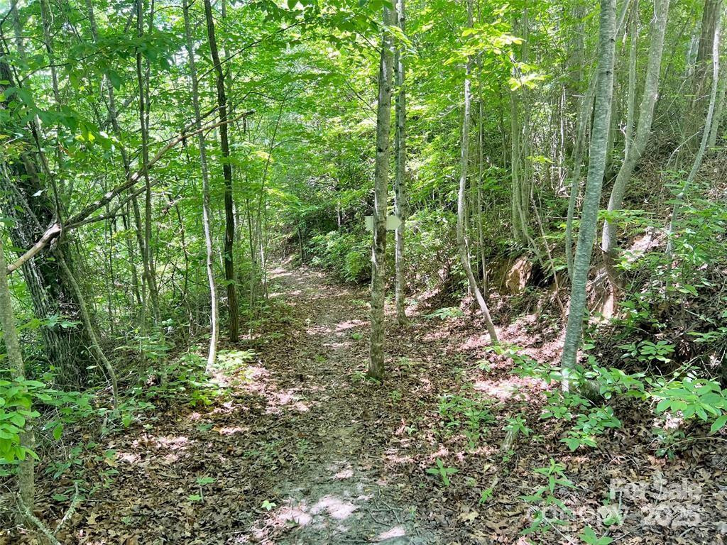 521 Signal Ridge - Photo 3