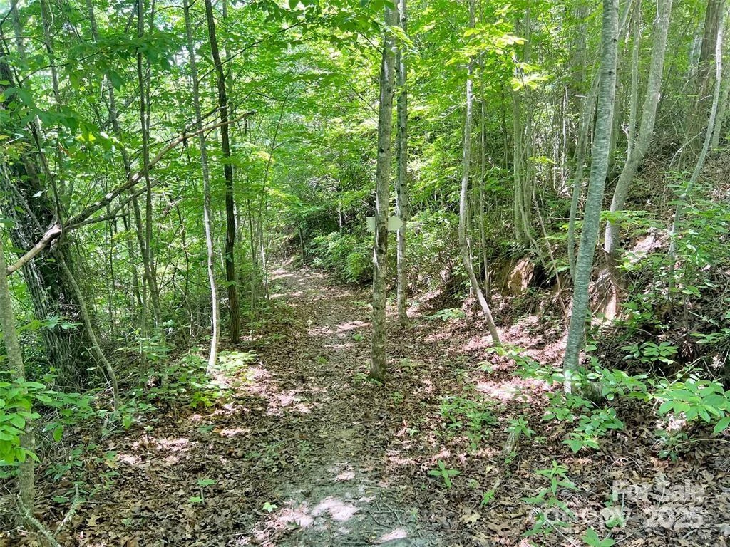 521 Signal Ridge - Photo 3