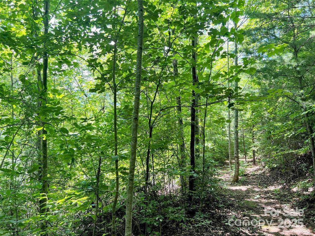 521 Signal Ridge - Photo 4