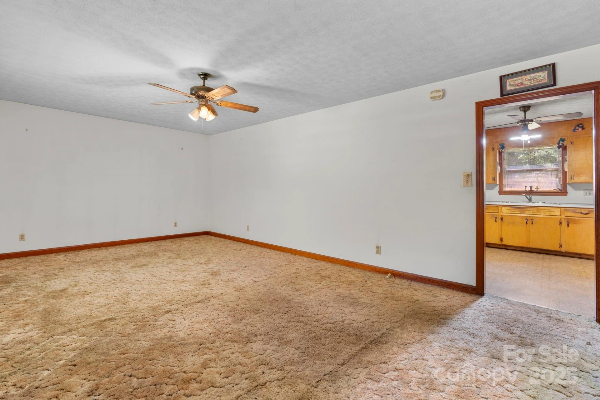 204 Whitley Road - Photo 11