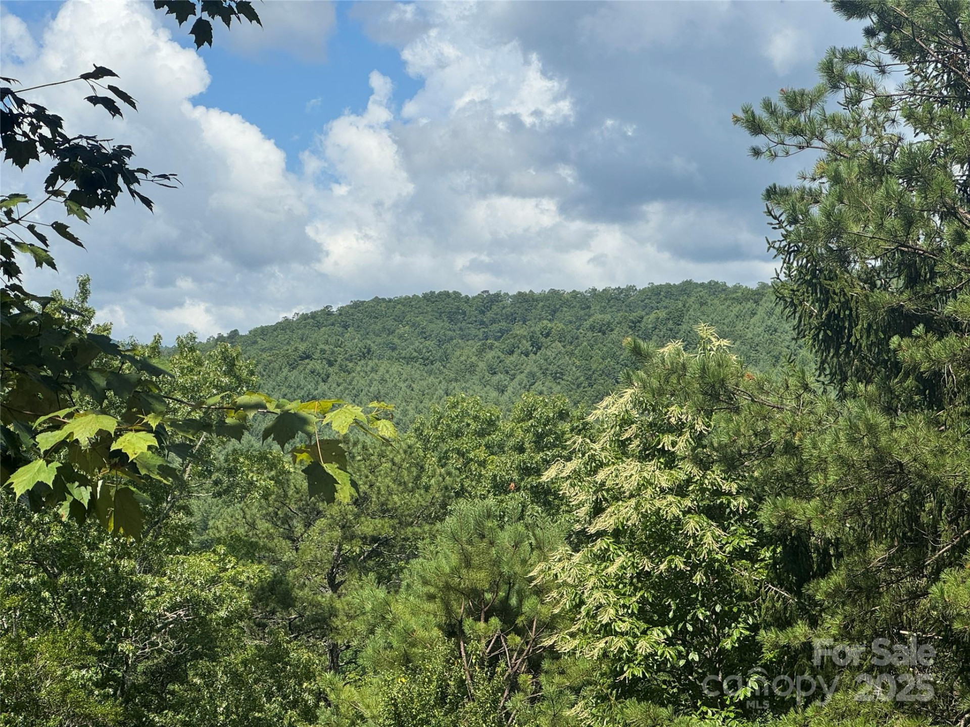 999 Ivy Lane - Photo 2