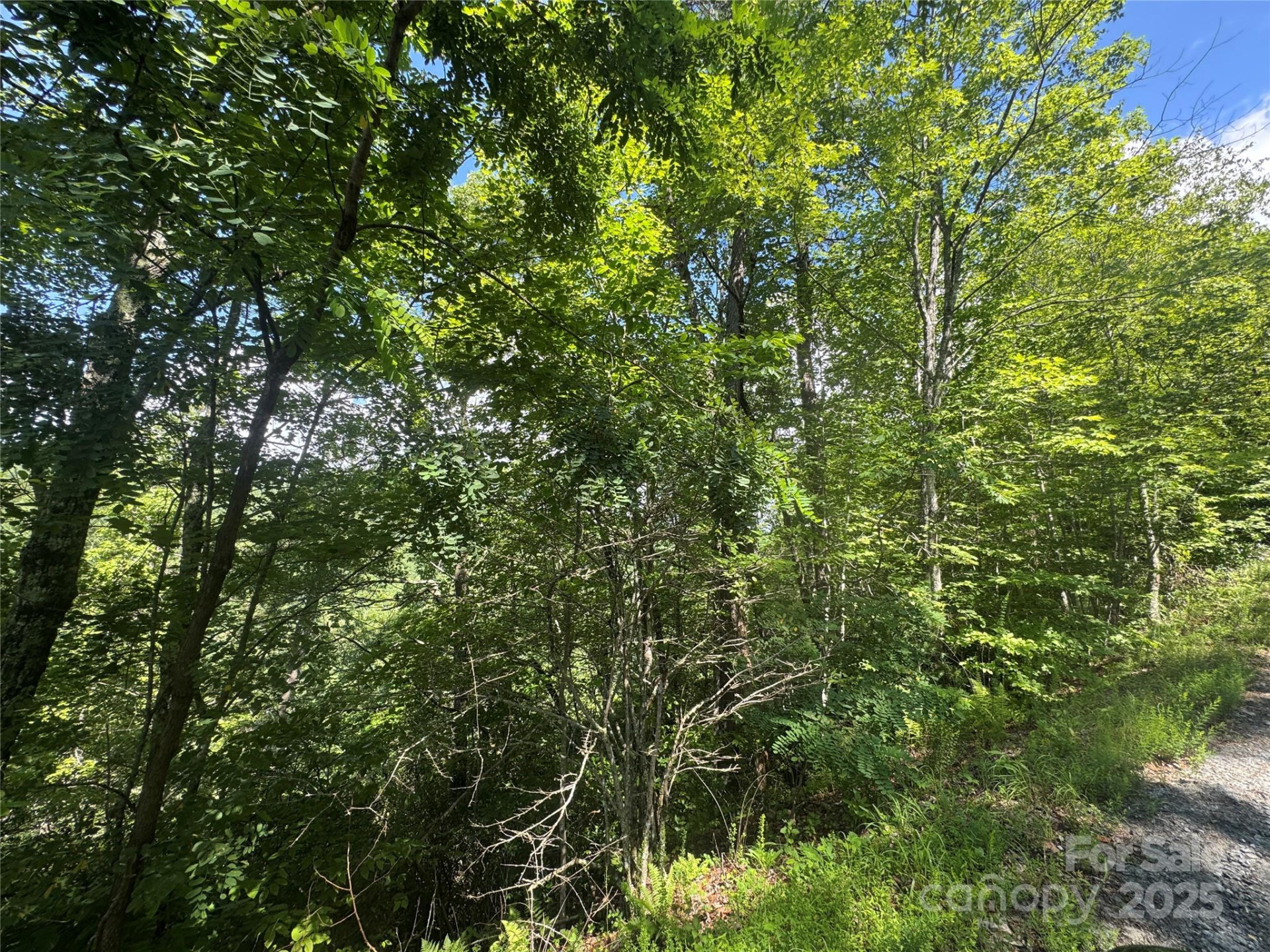 999 Ivy Lane - Photo 11