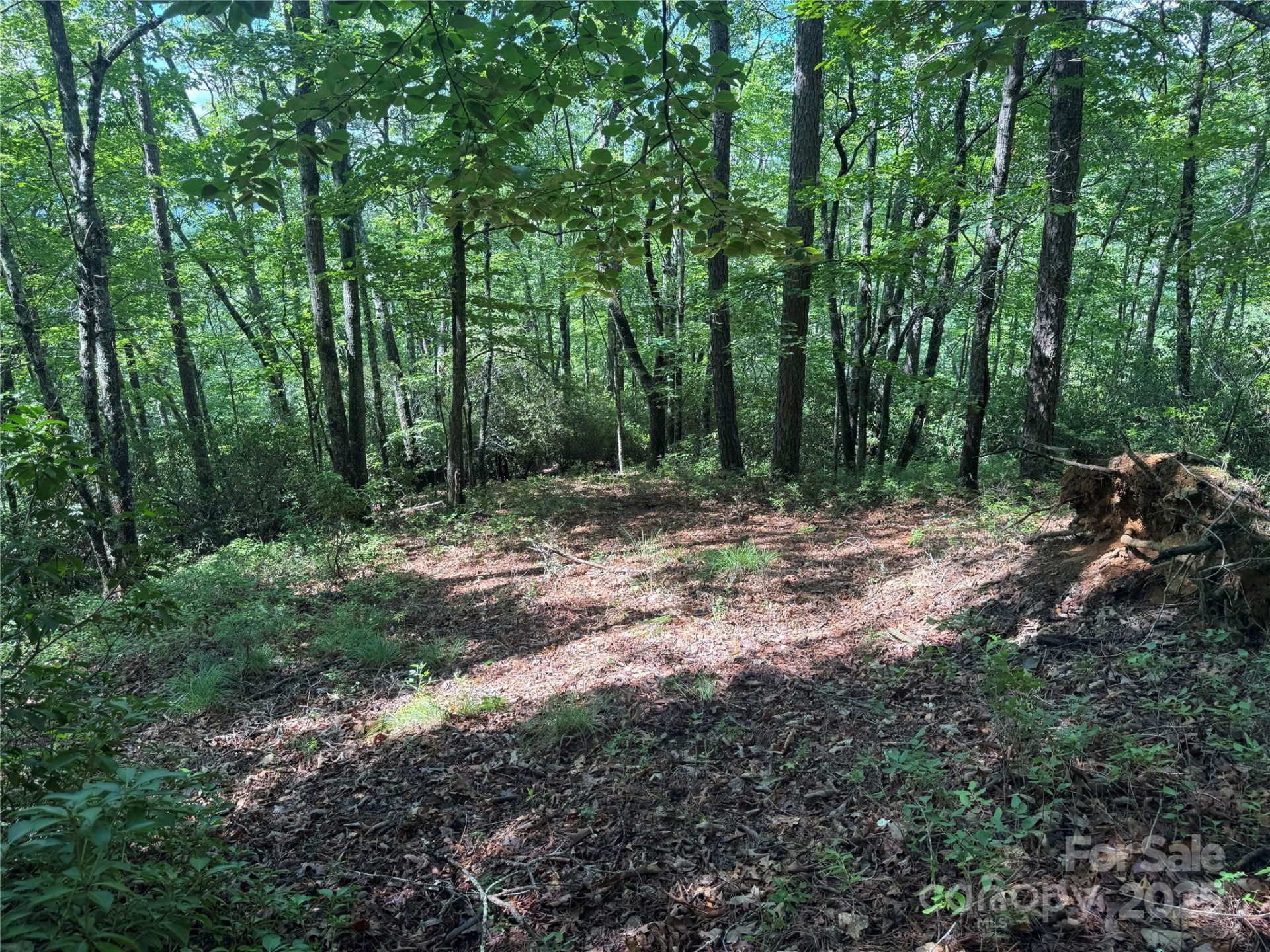 999 Ivy Lane - Photo 12