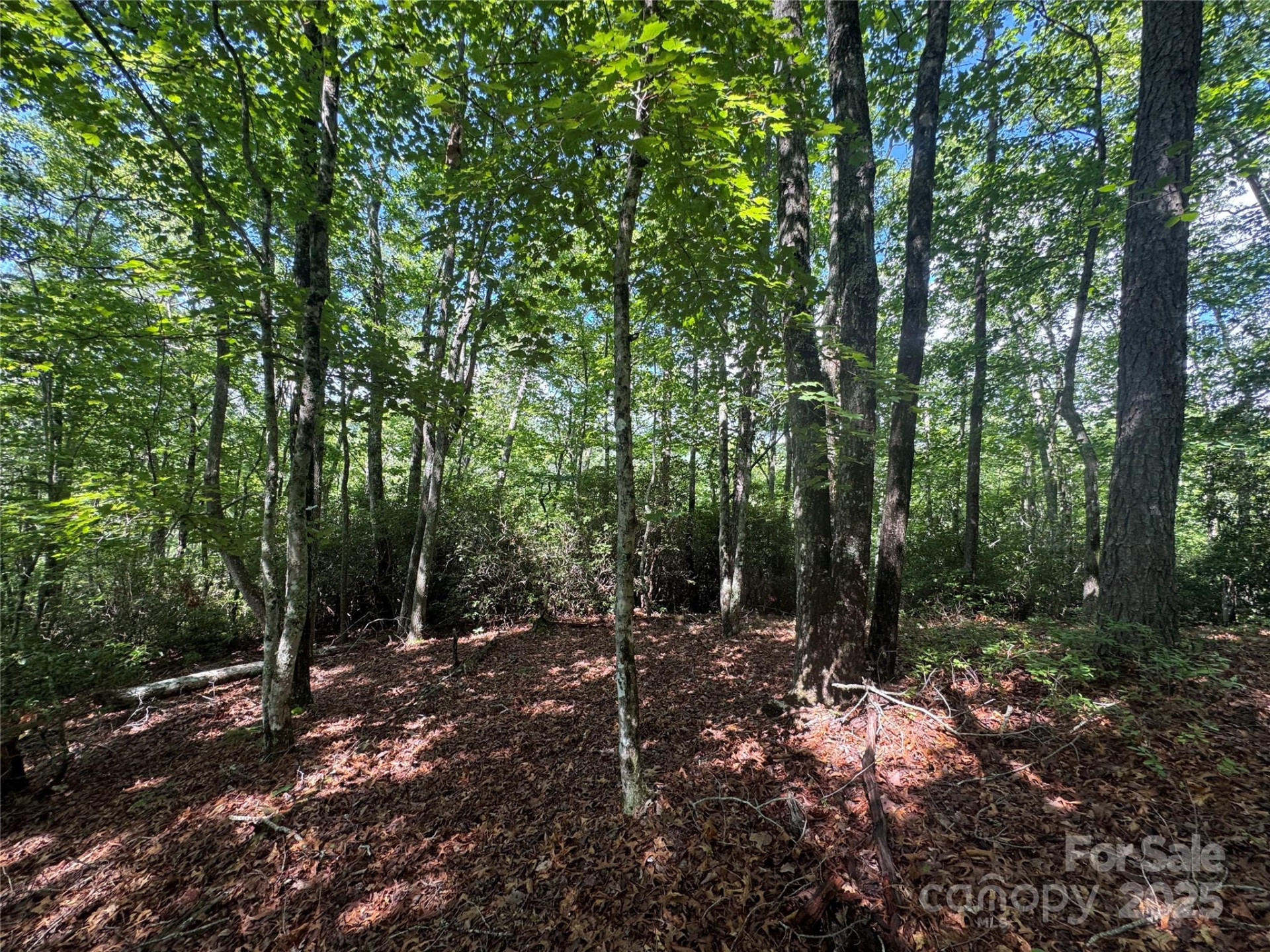 999 Ivy Lane - Photo 13