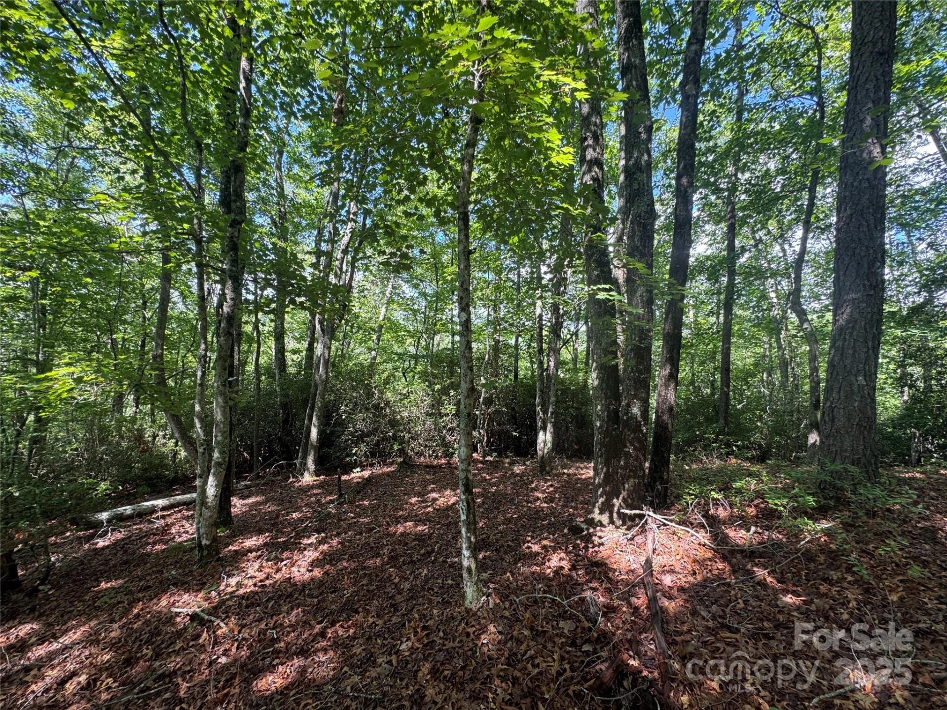 999 Ivy Lane - Photo 13