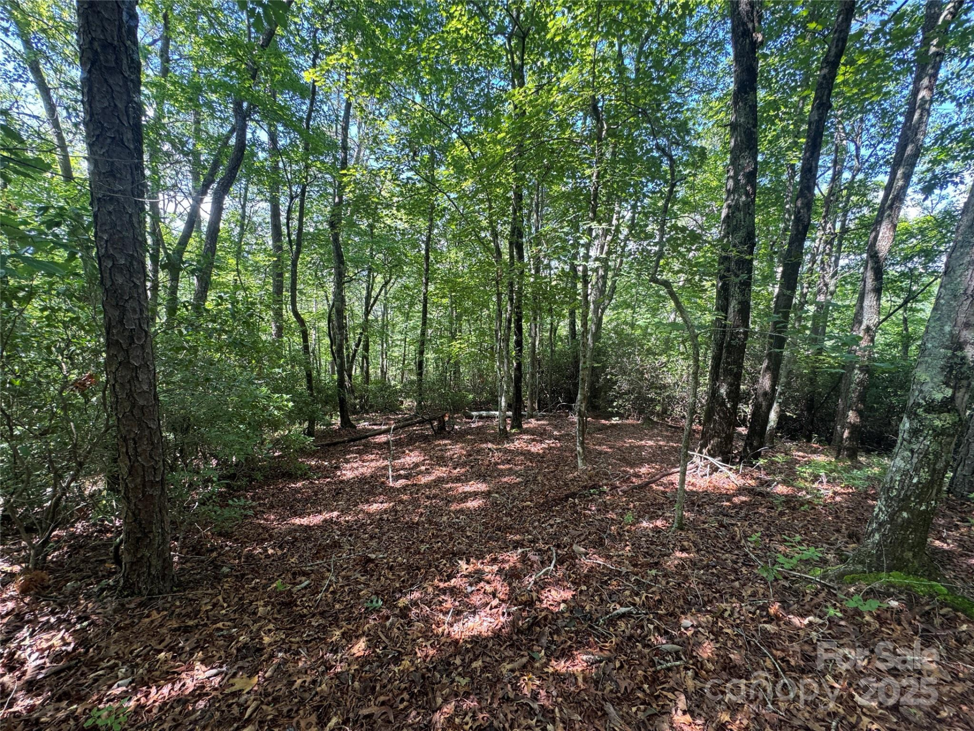 999 Ivy Lane - Photo 14