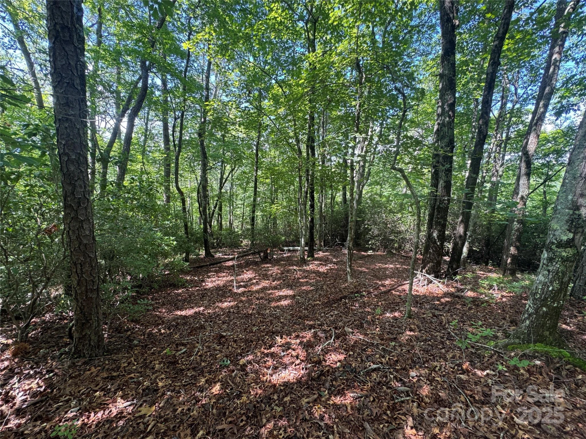 999 Ivy Lane - Photo 14