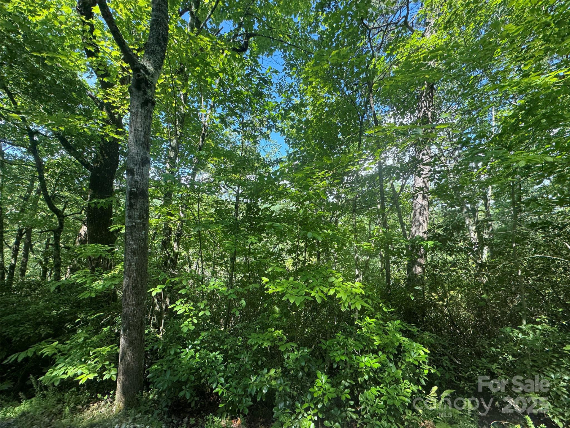 999 Ivy Lane - Photo 15