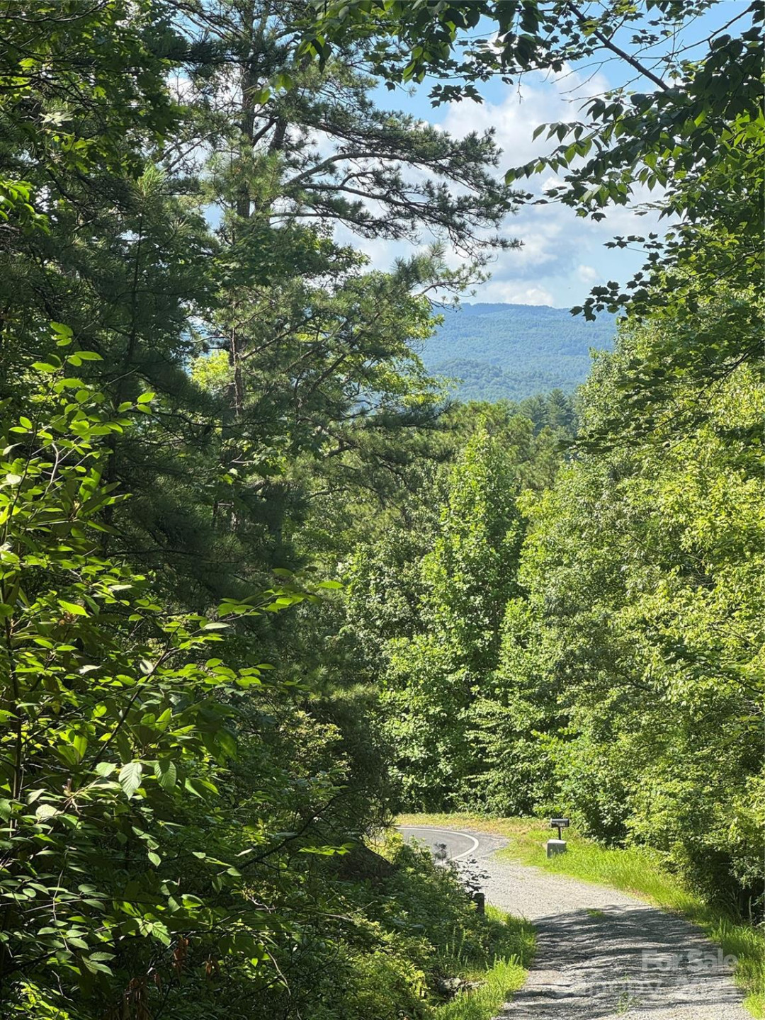 999 Ivy Lane - Photo 16