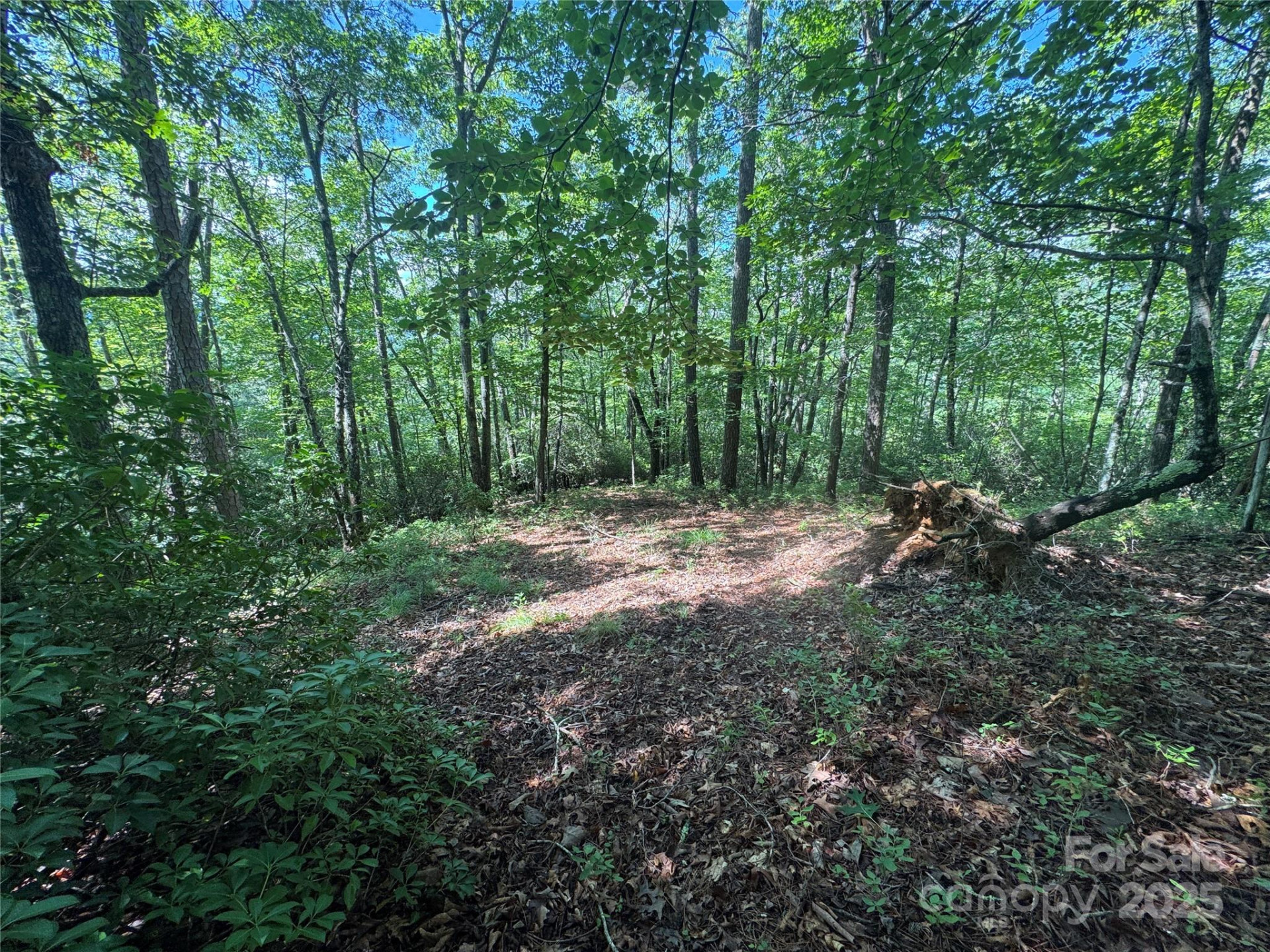 999 Ivy Lane - Photo 17