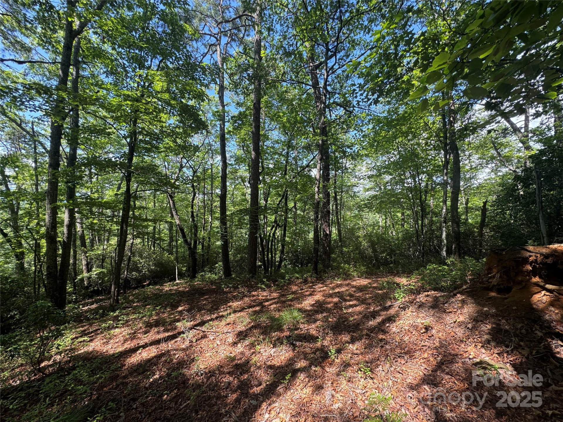 999 Ivy Lane - Photo 18