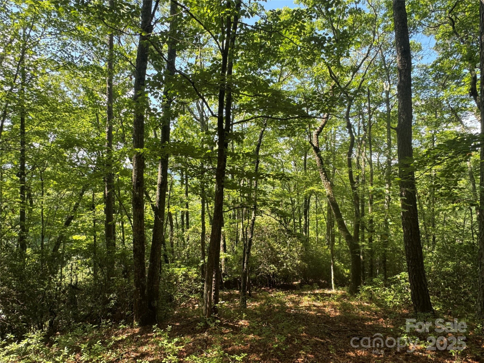 999 Ivy Lane - Photo 19