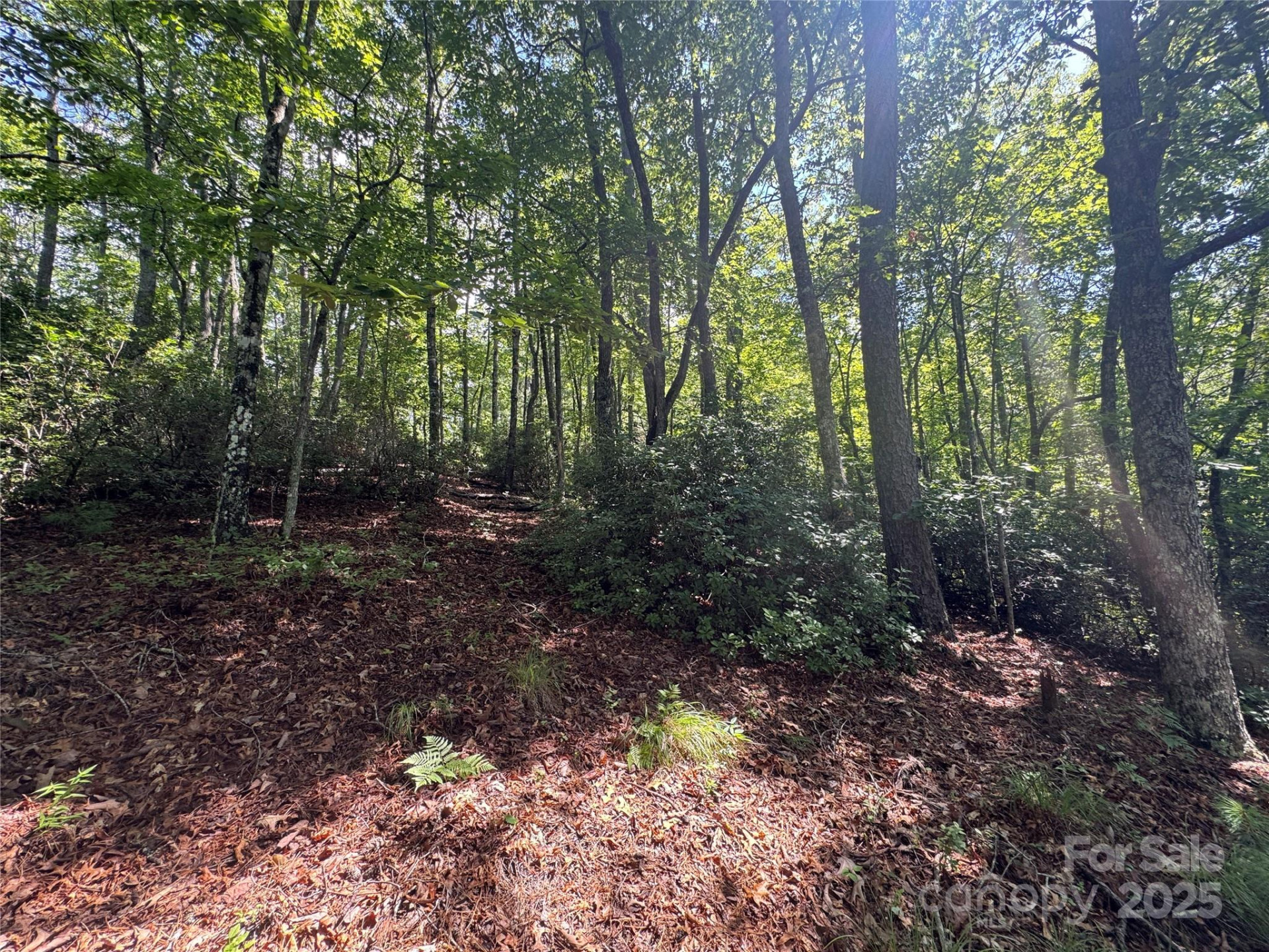 999 Ivy Lane - Photo 20