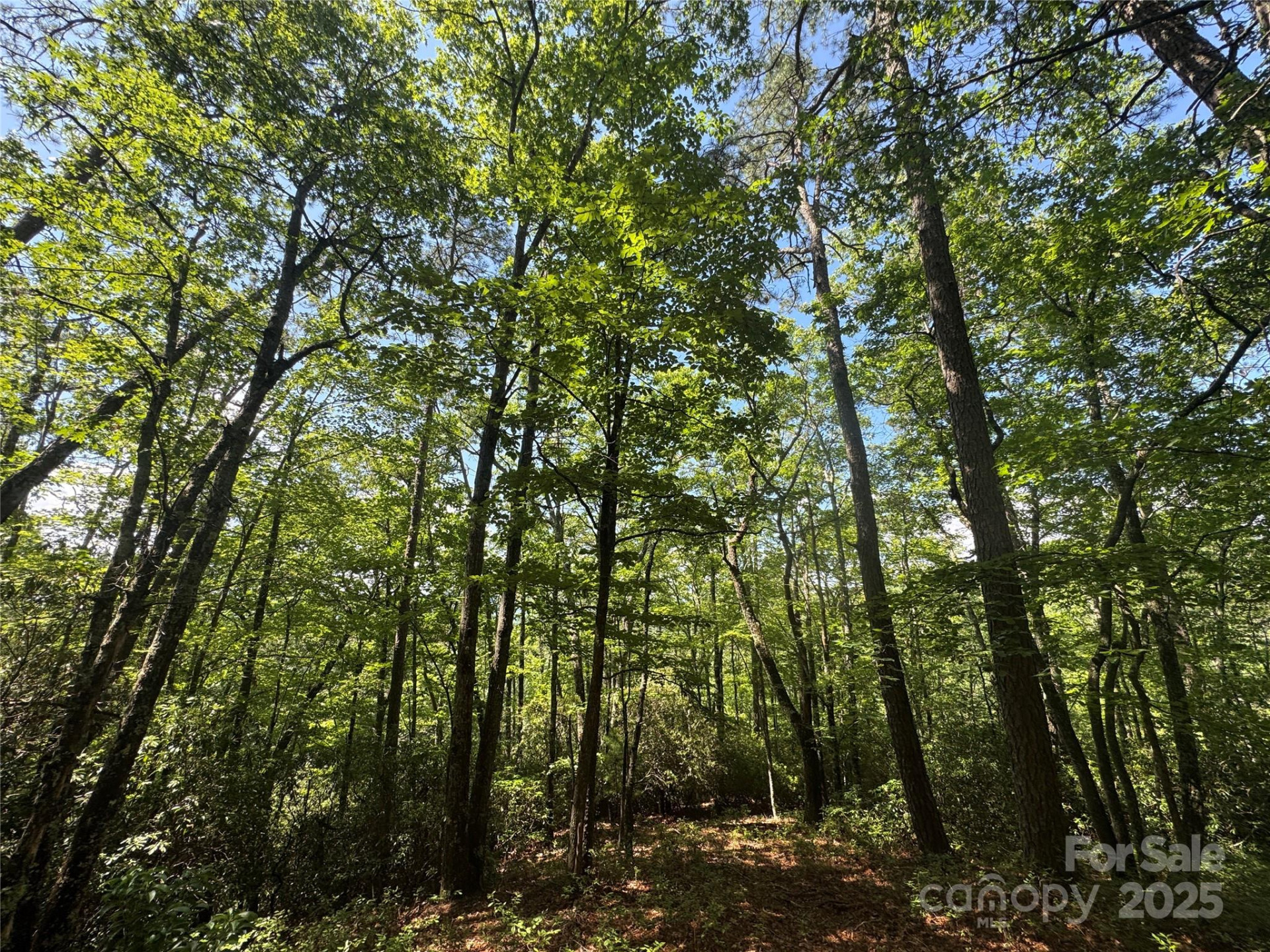 999 Ivy Lane - Photo 21