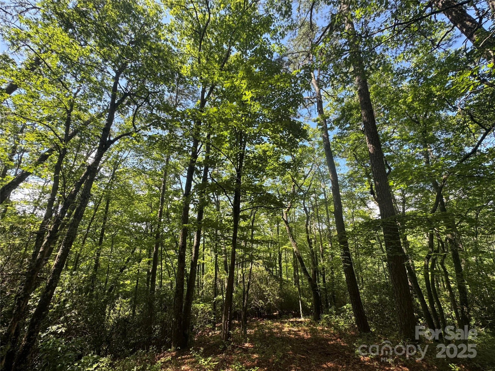 999 Ivy Lane - Photo 21