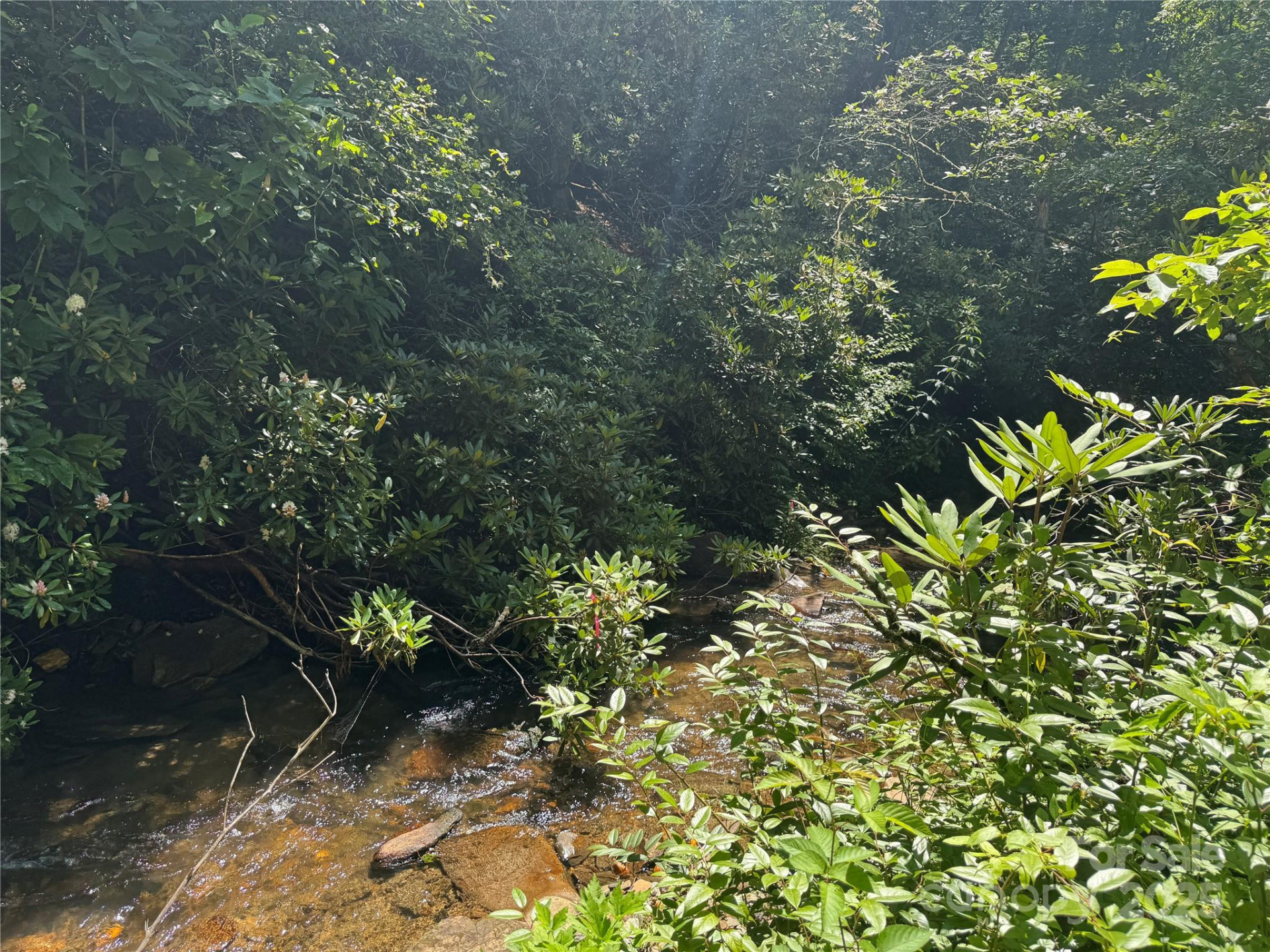 999 Ivy Lane - Photo 22