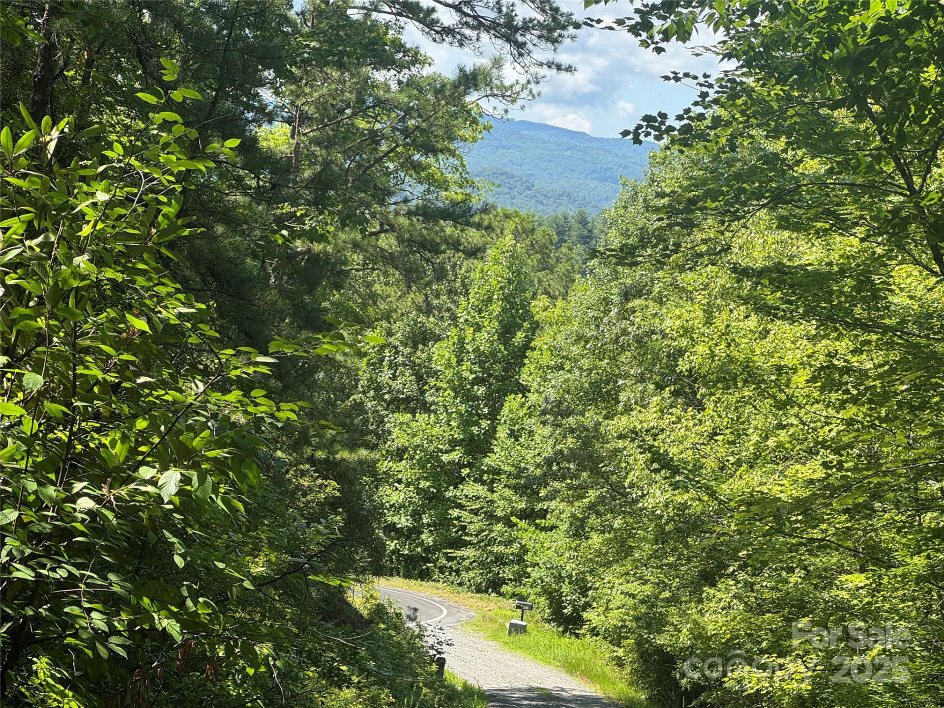 999 Ivy Lane - Photo 23