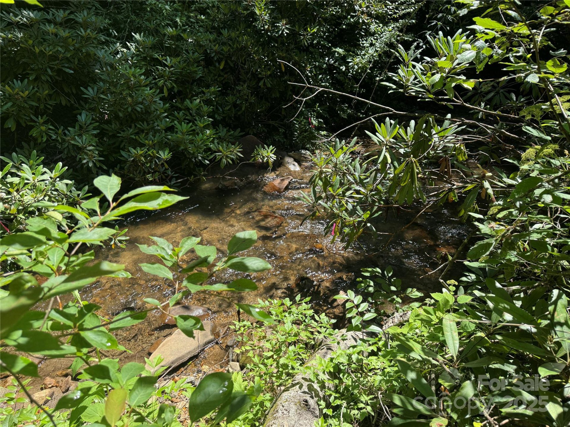 999 Ivy Lane - Photo 24