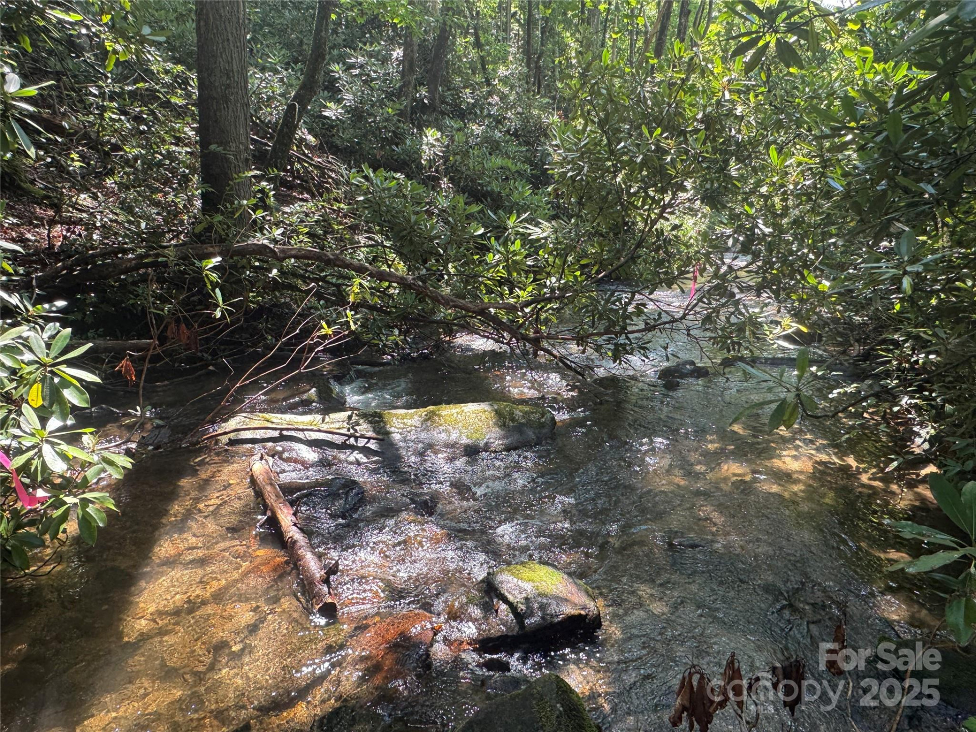 999 Ivy Lane - Photo 25