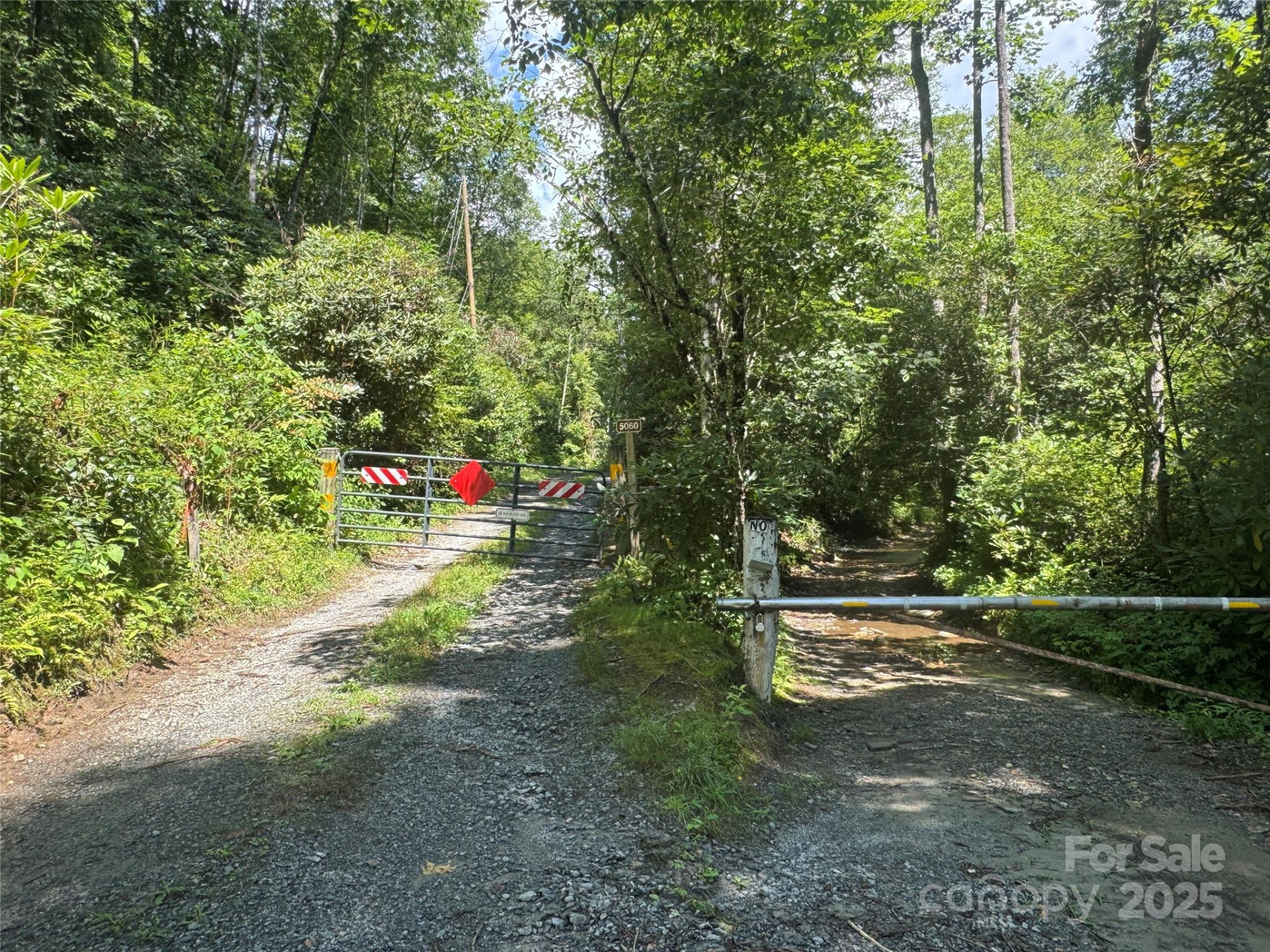 999 Ivy Lane - Photo 4