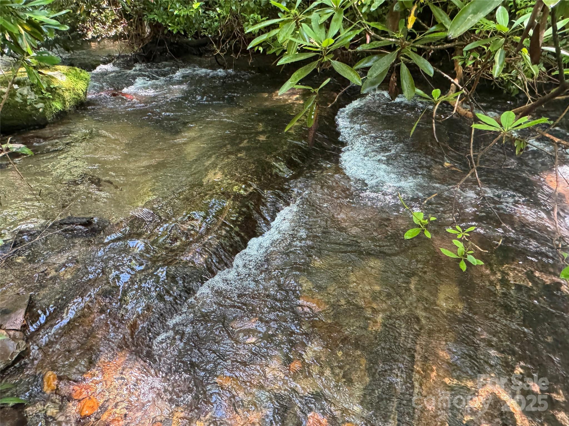 999 Ivy Lane - Photo 6