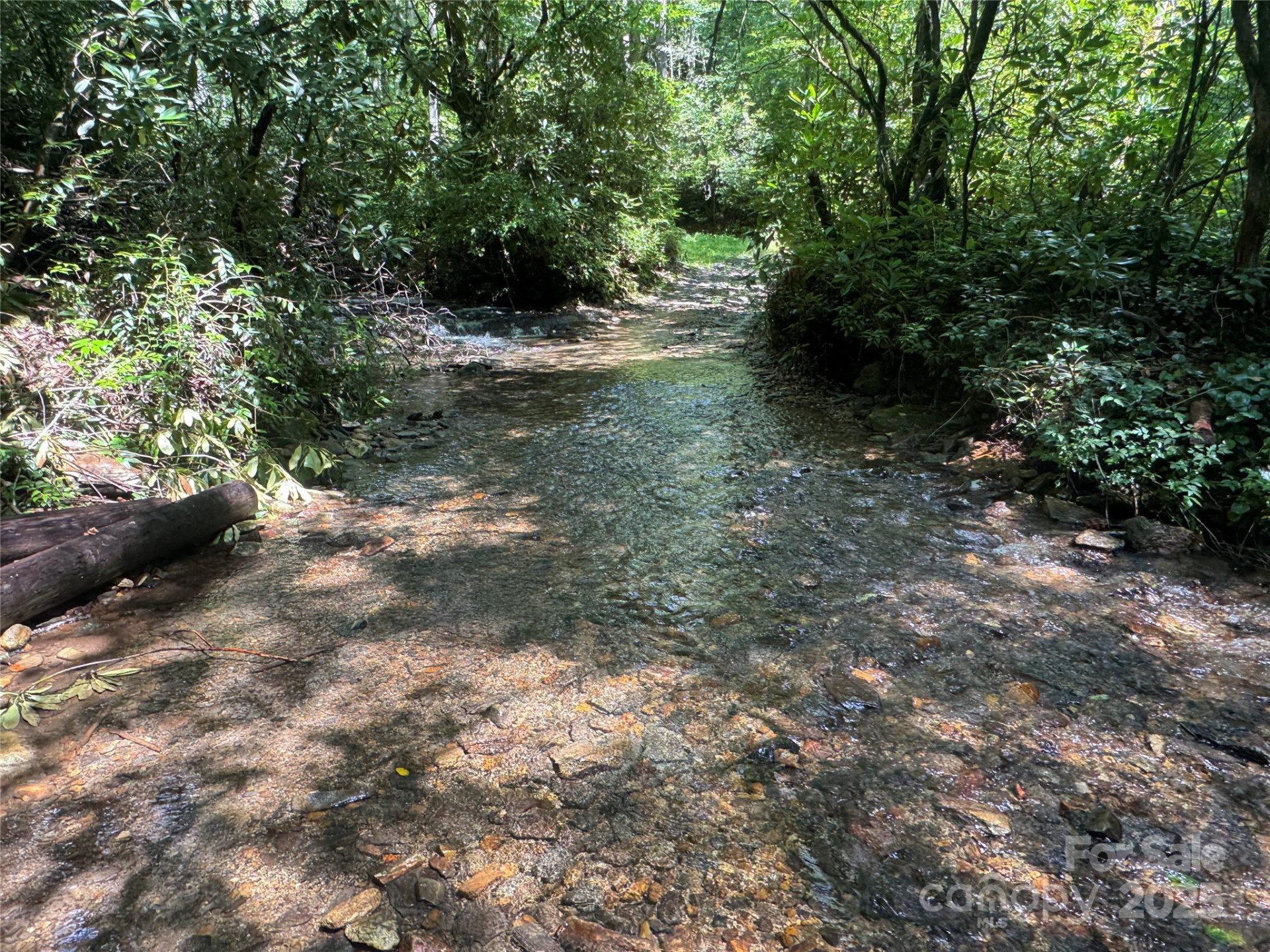 999 Ivy Lane - Photo 7