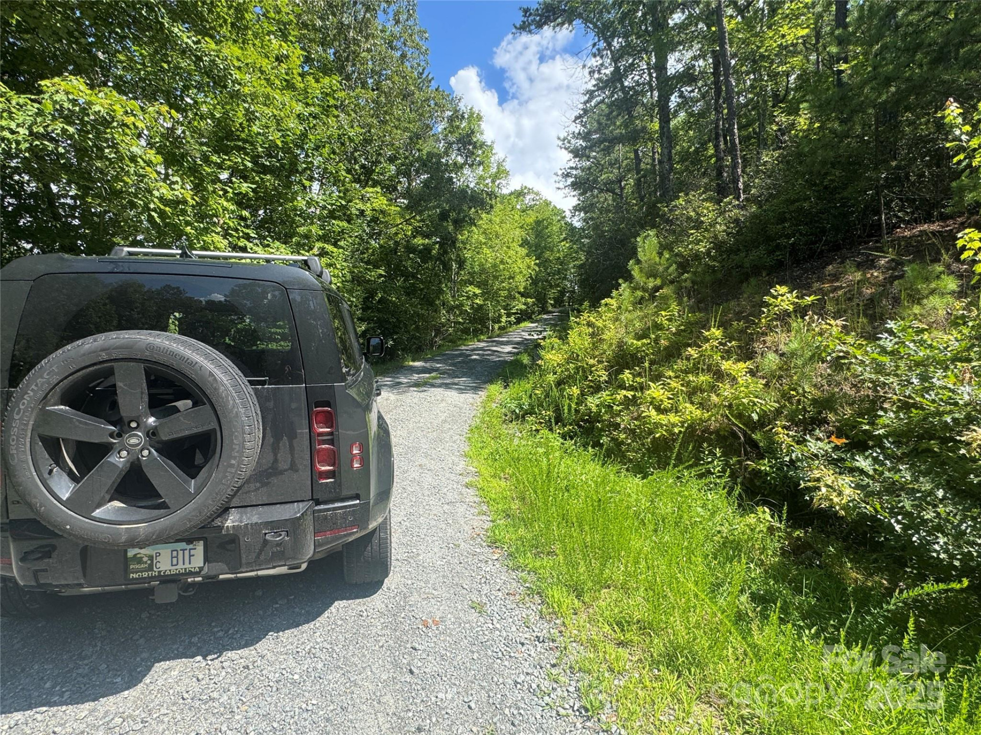 999 Ivy Lane - Photo 9